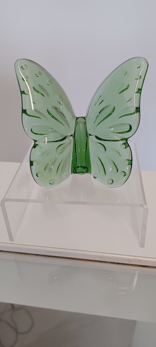 Glass Butterfly