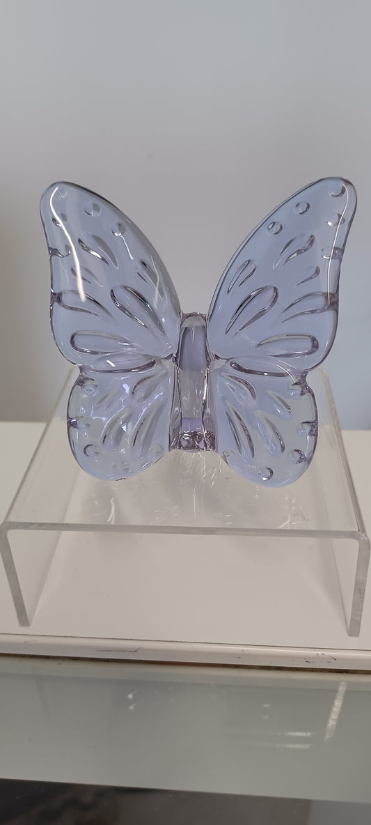 Glass Butterfly