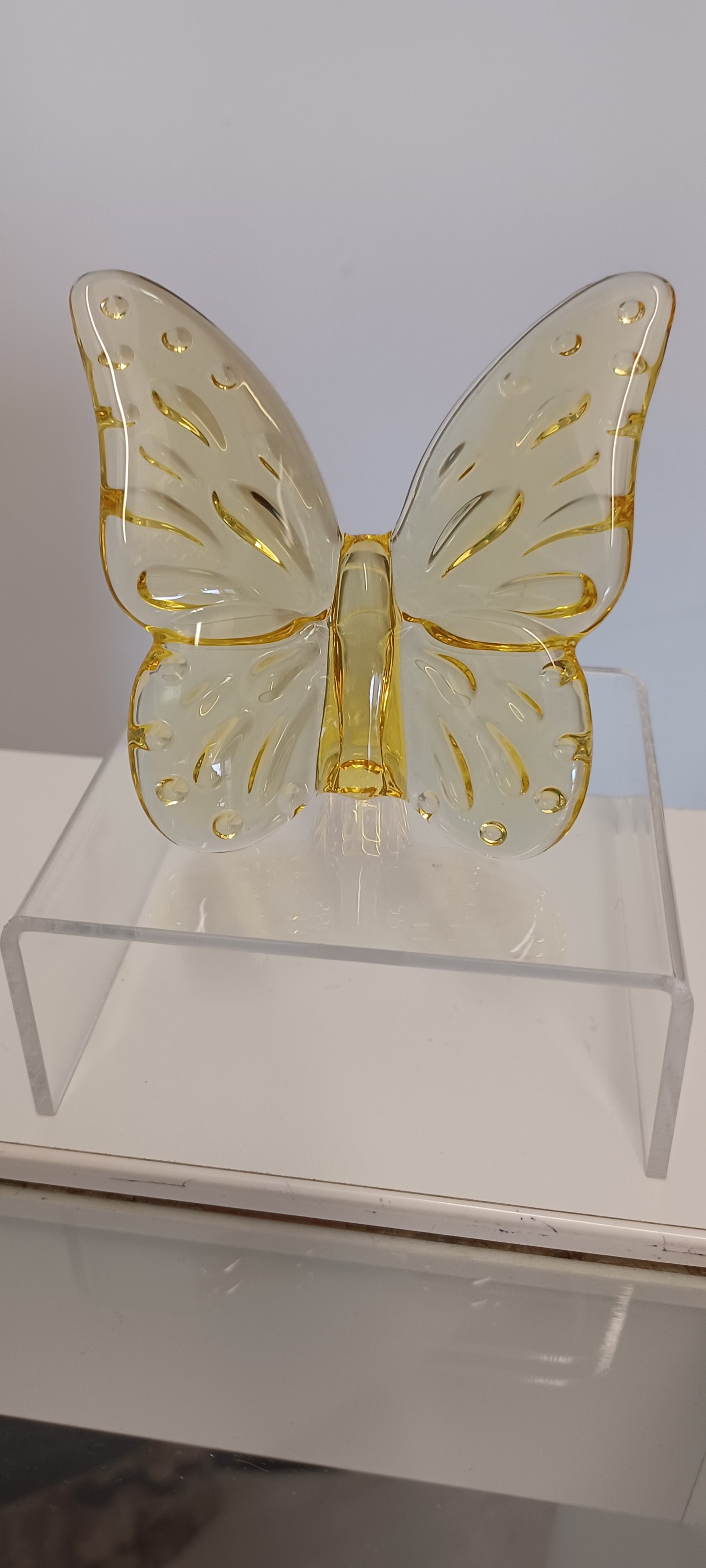 Glass Butterfly