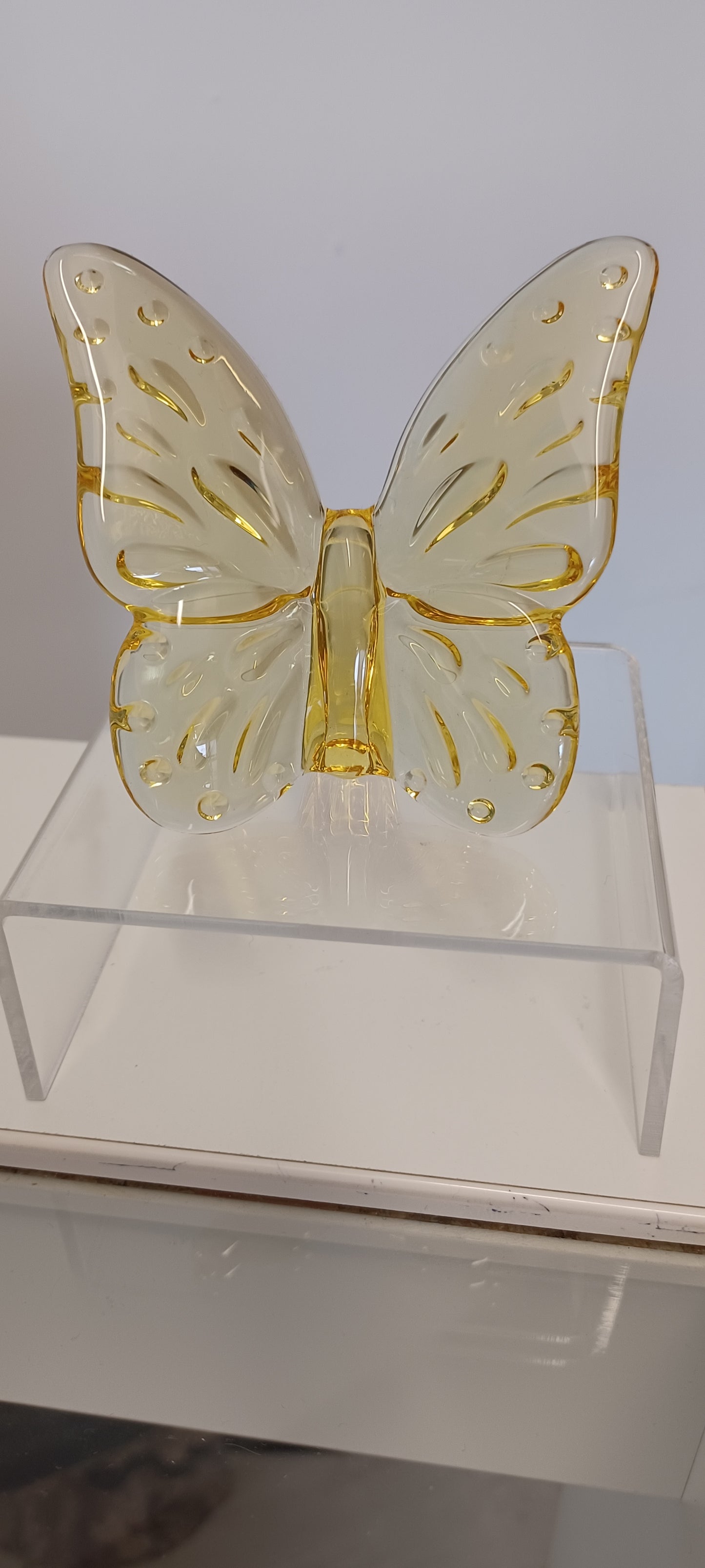 Glass Butterfly