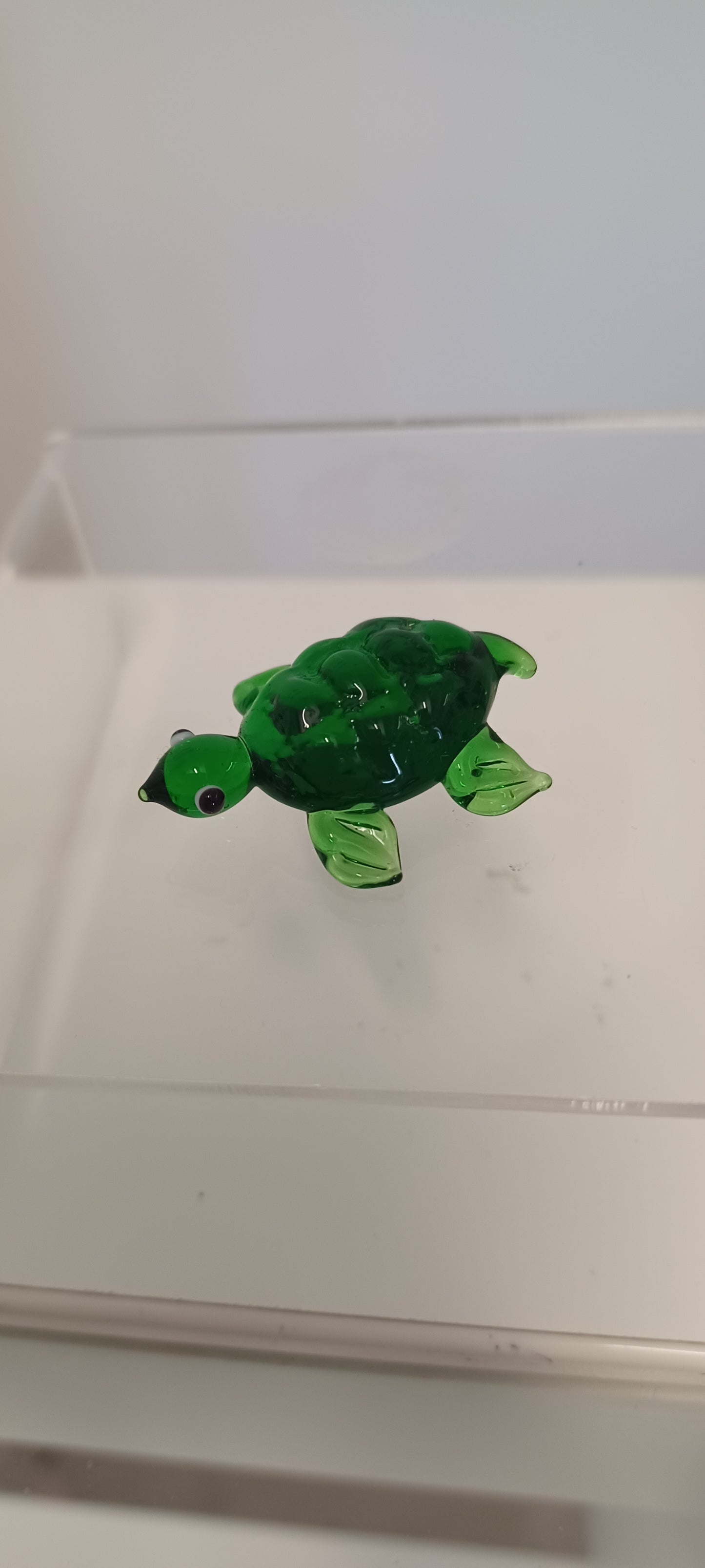 Glass Turtle