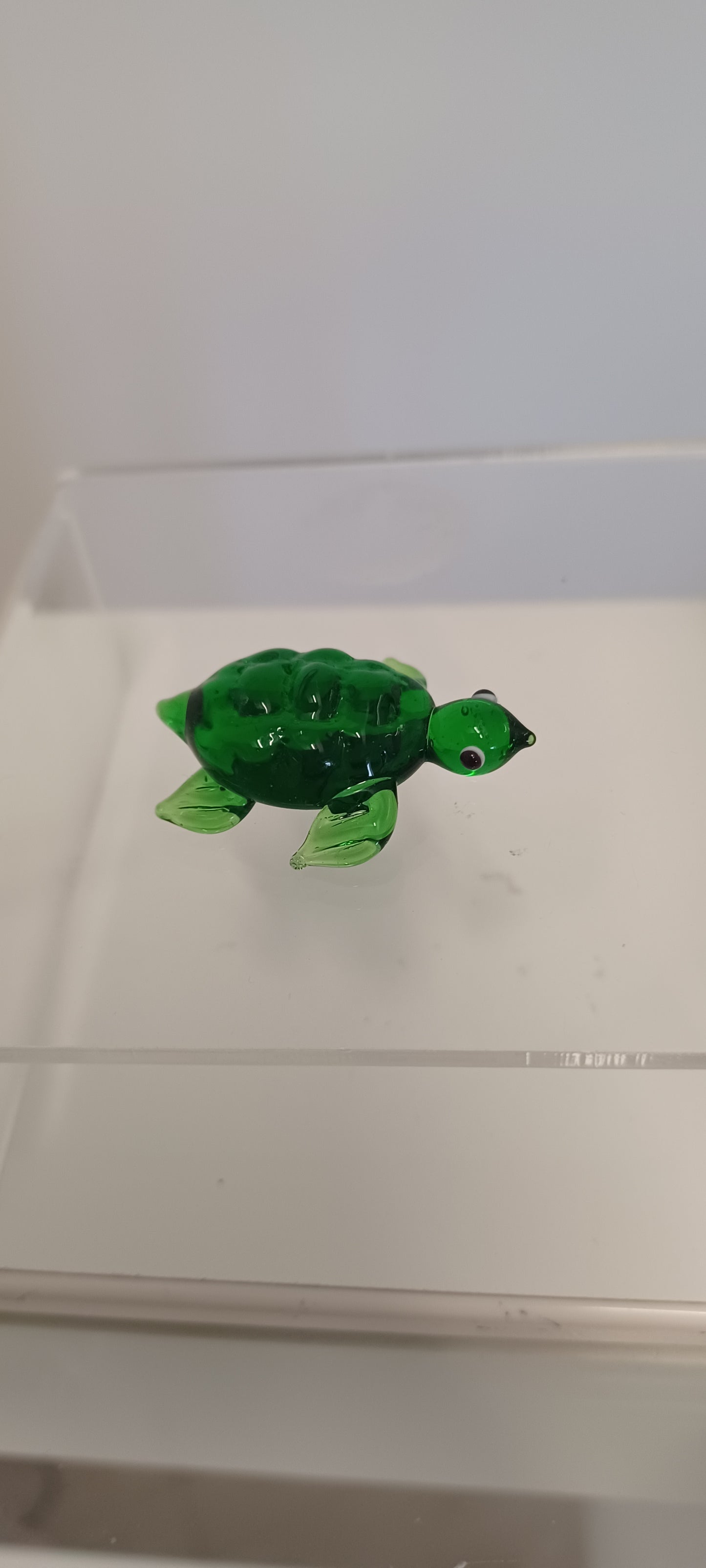 Glass Turtle