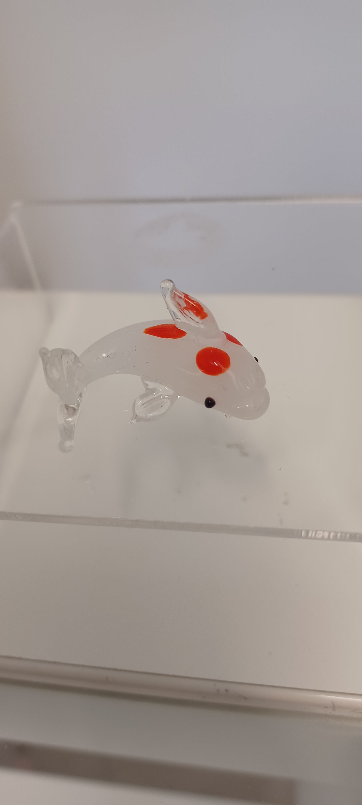 Glass Fish