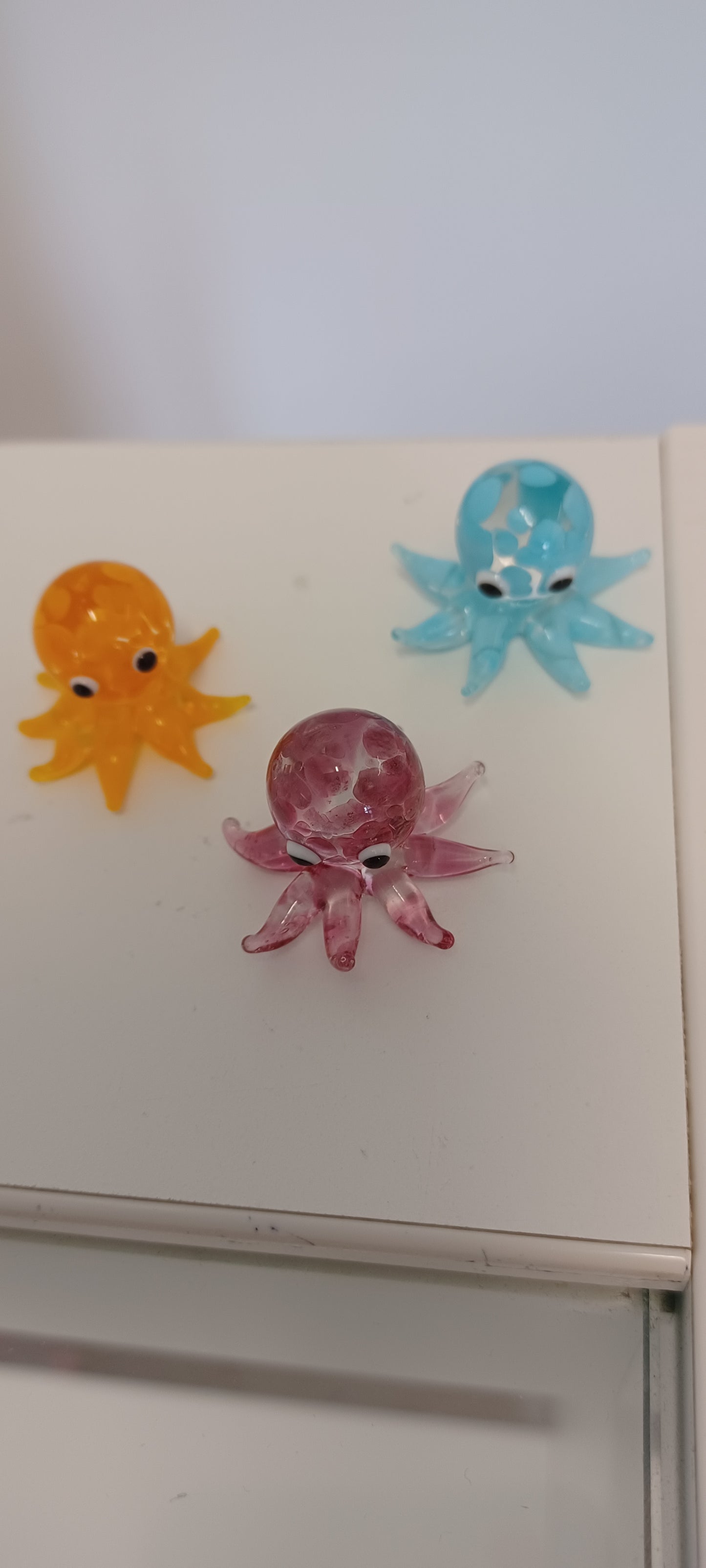 Glass Octopus