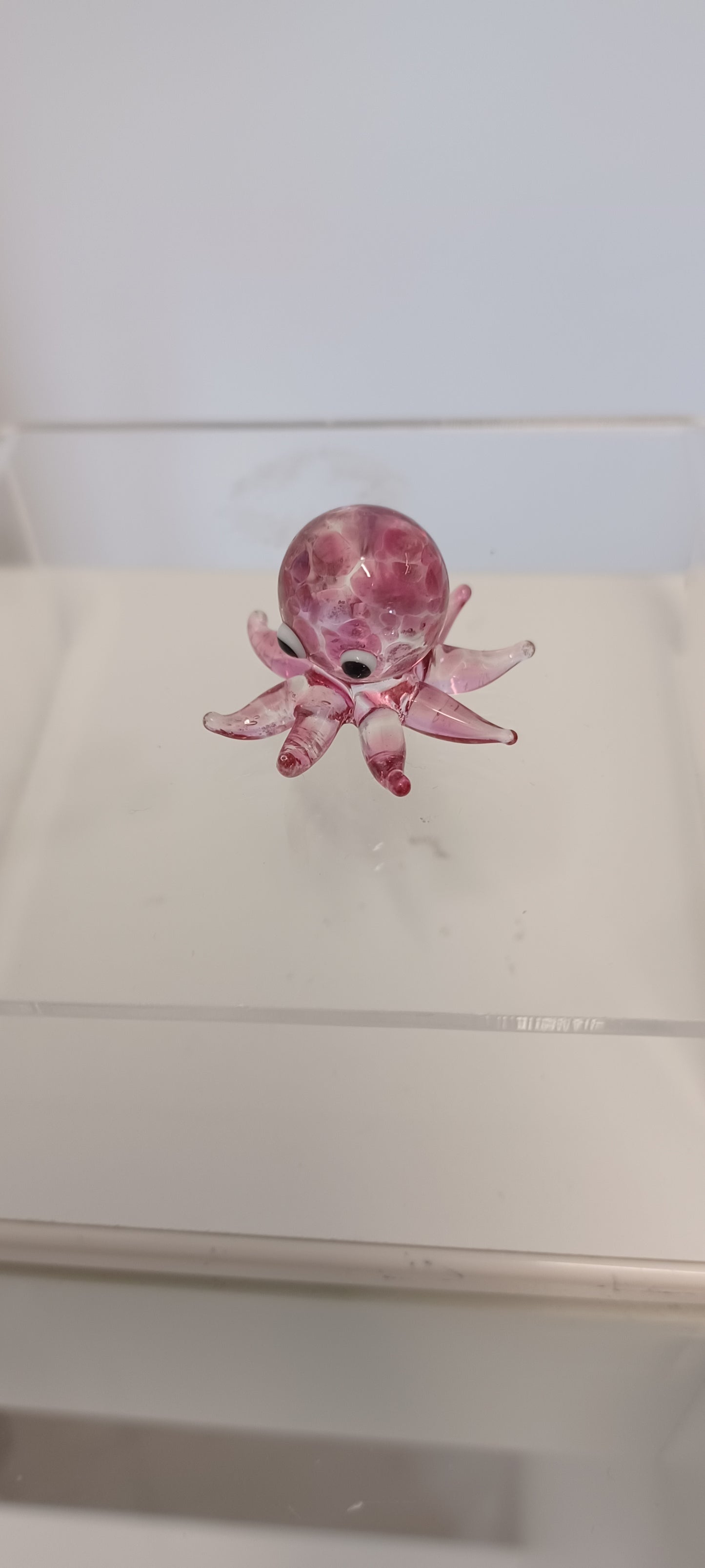 Glass Octopus