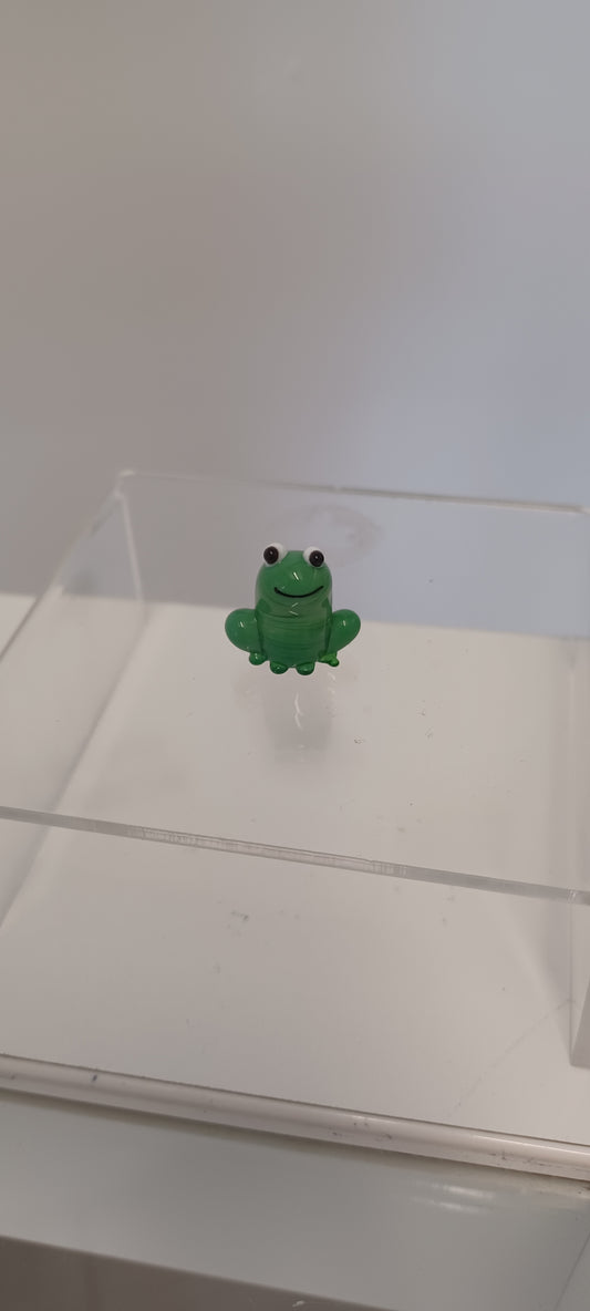 Glass Frog