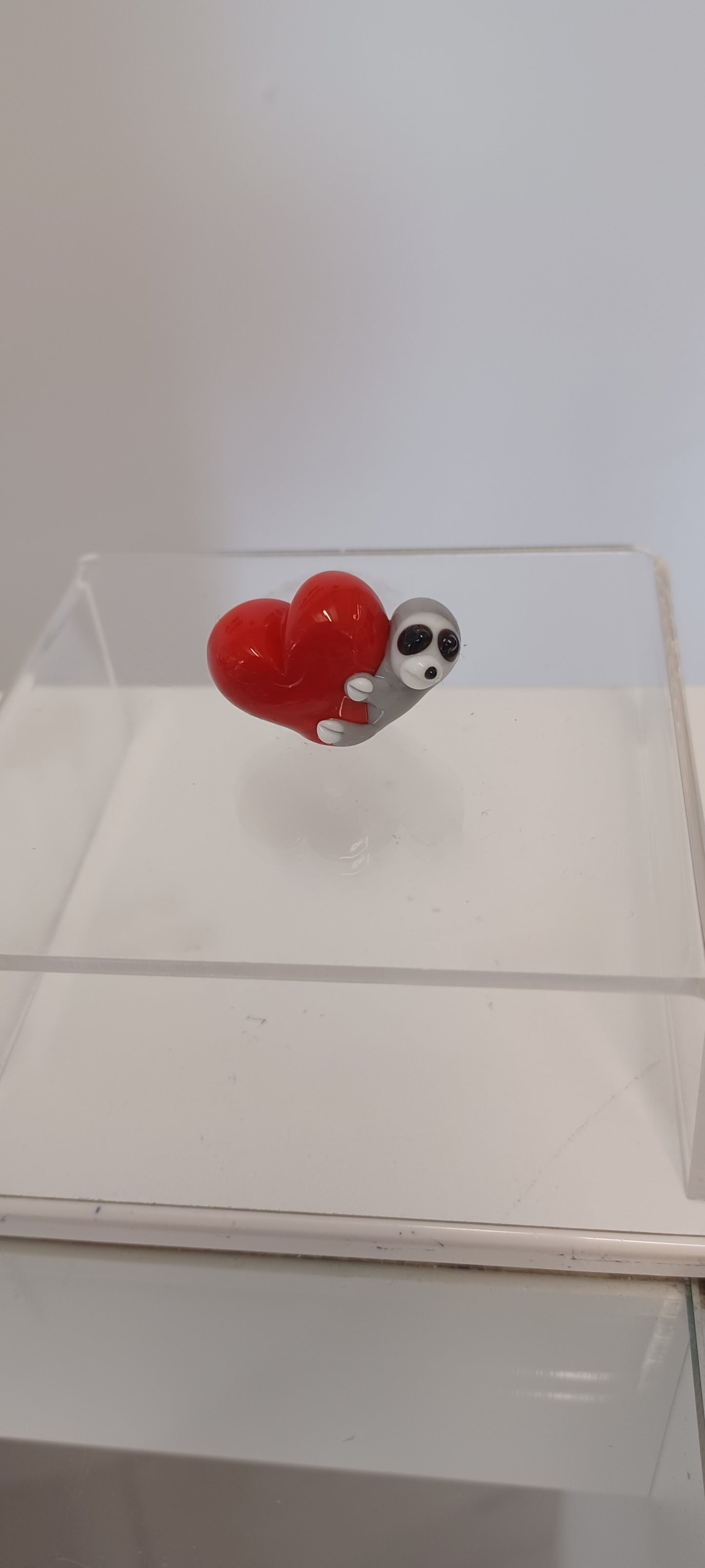 Glass Sloth