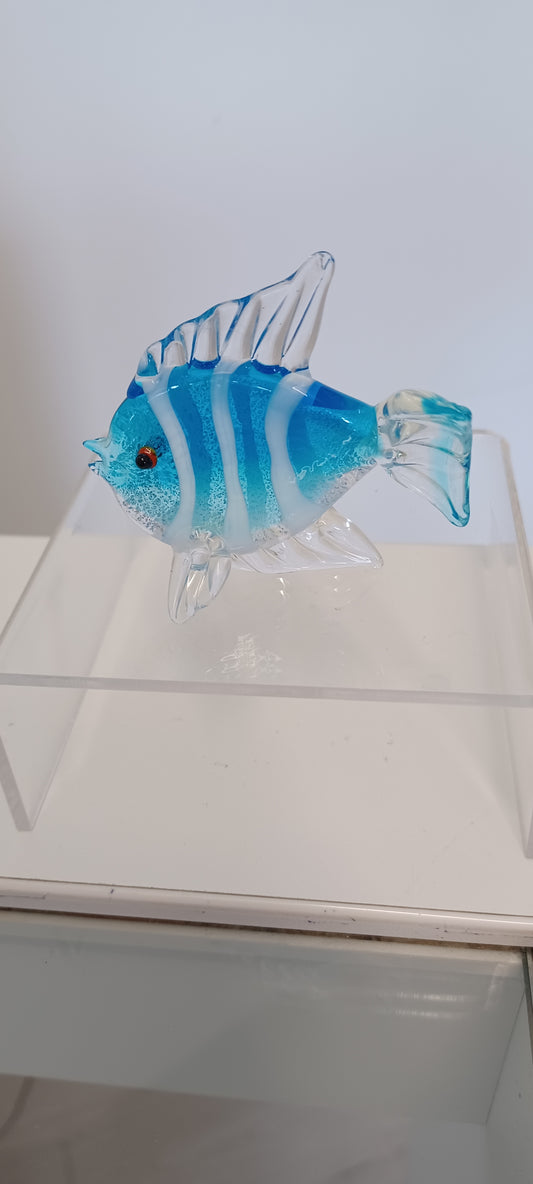 Glass Fish