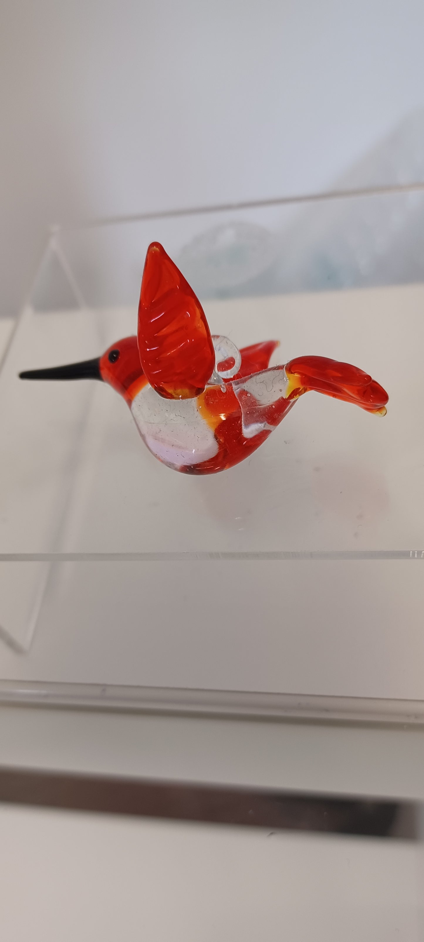 Glass Bird