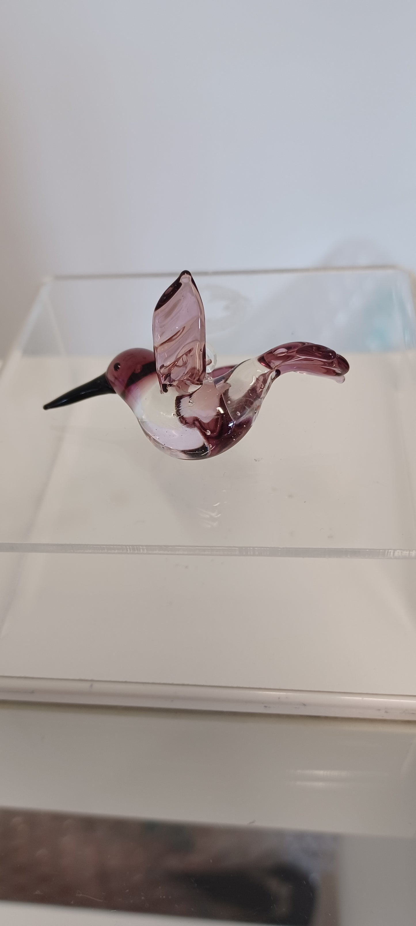 Glass Bird