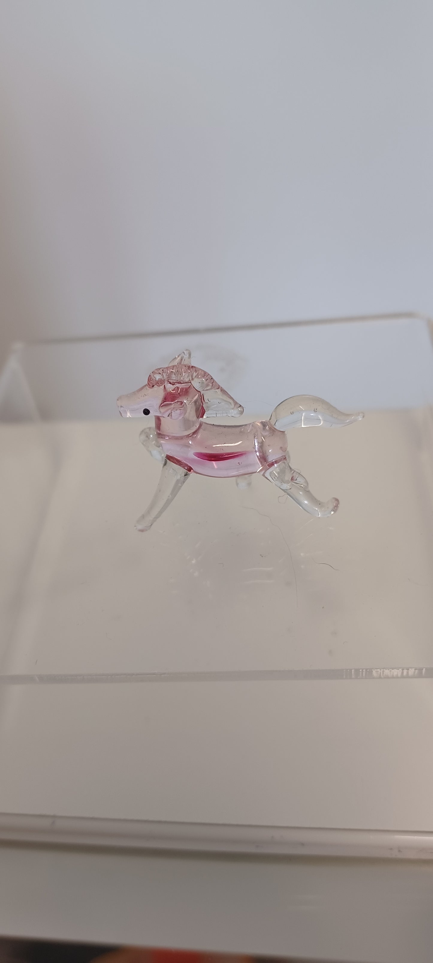 Glass Horse