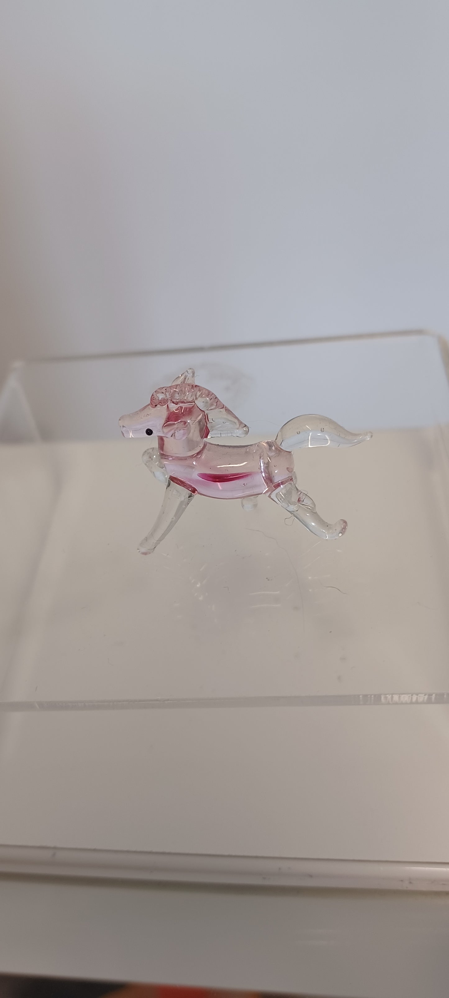 Glass Horse