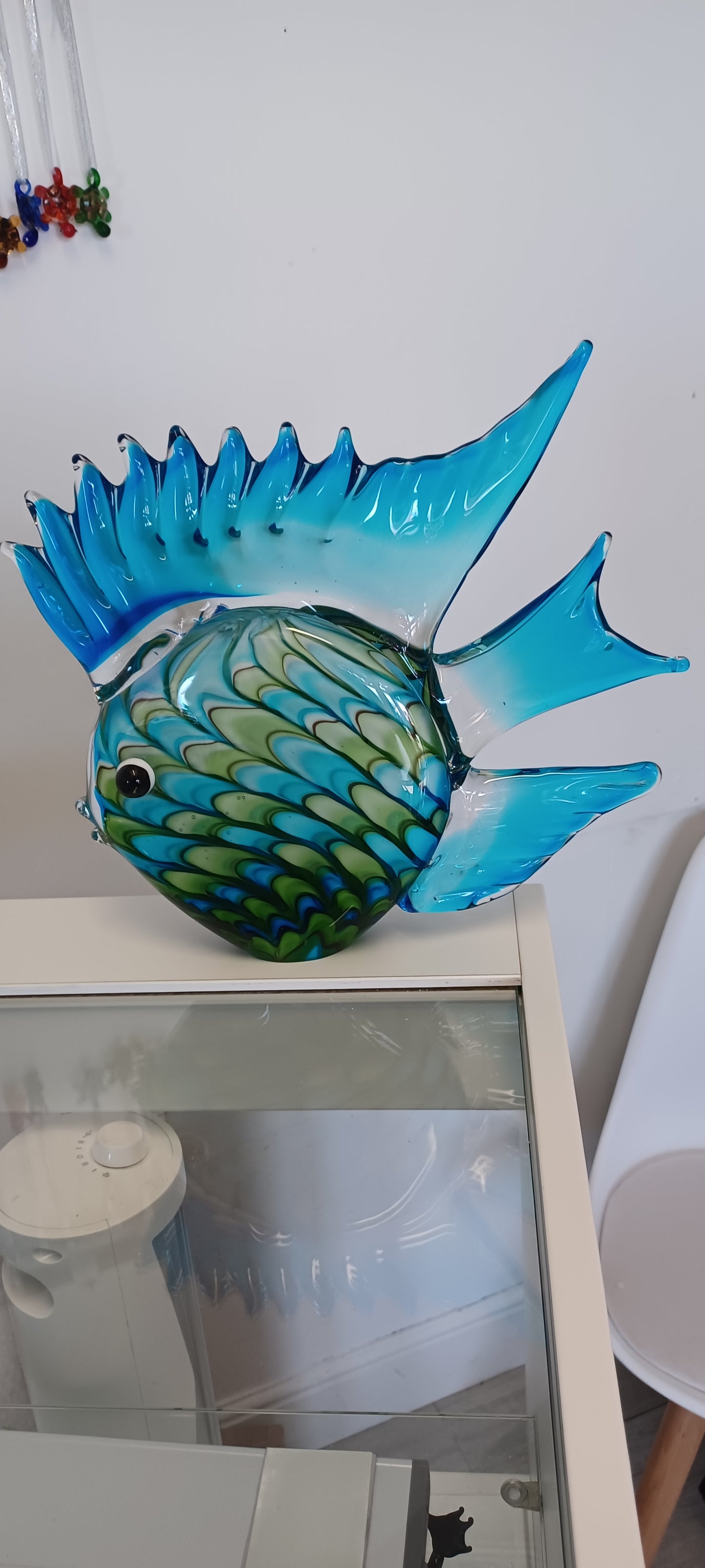 Glass Fish