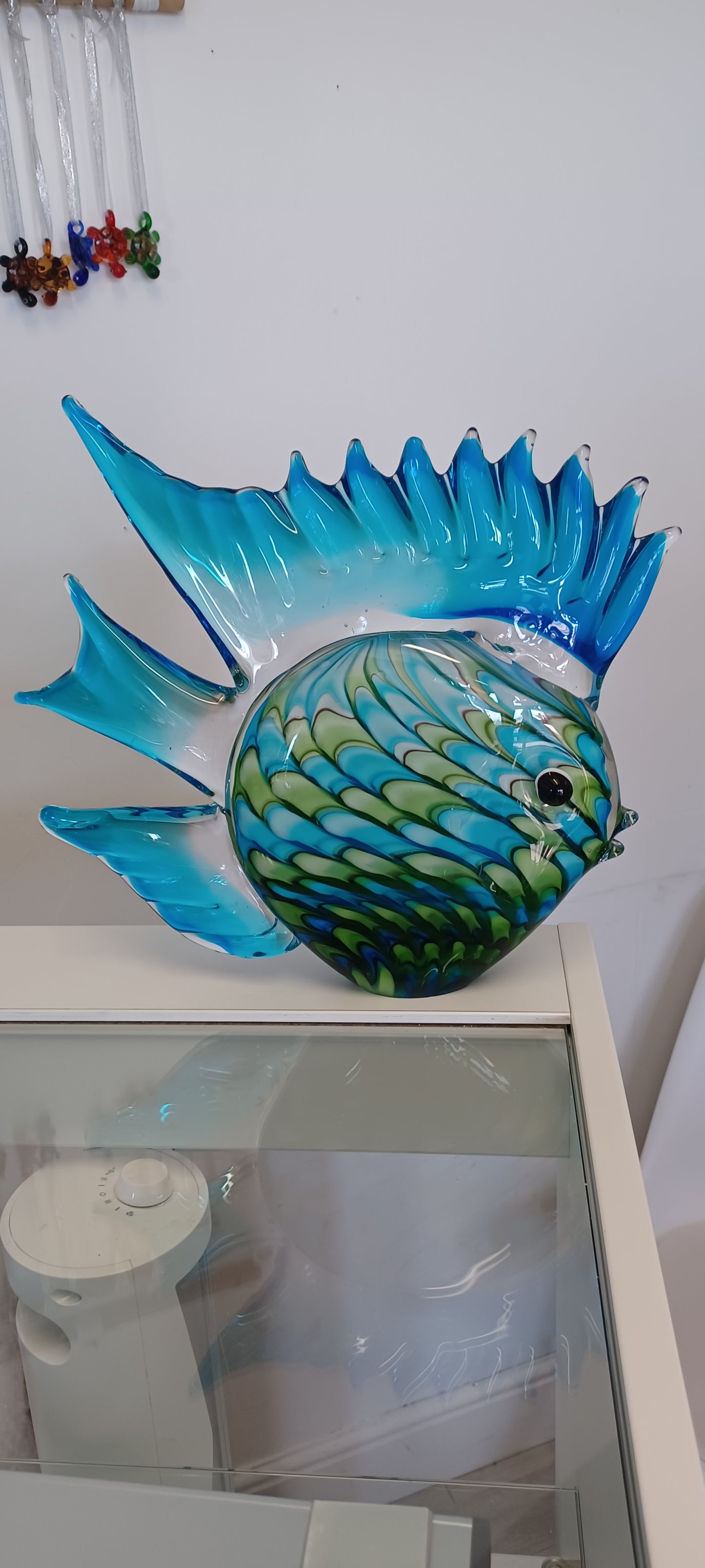 Glass Fish