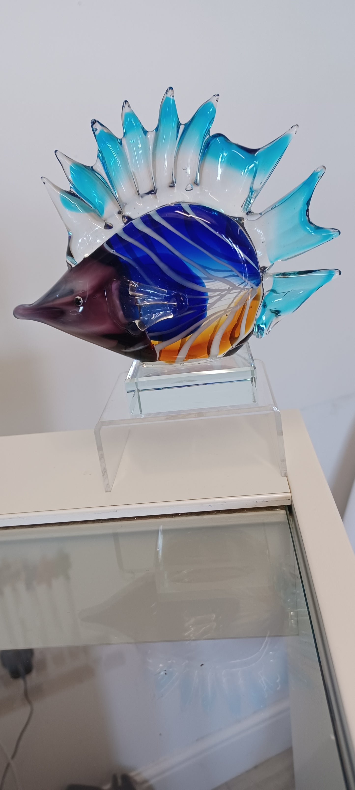 Glass Fish