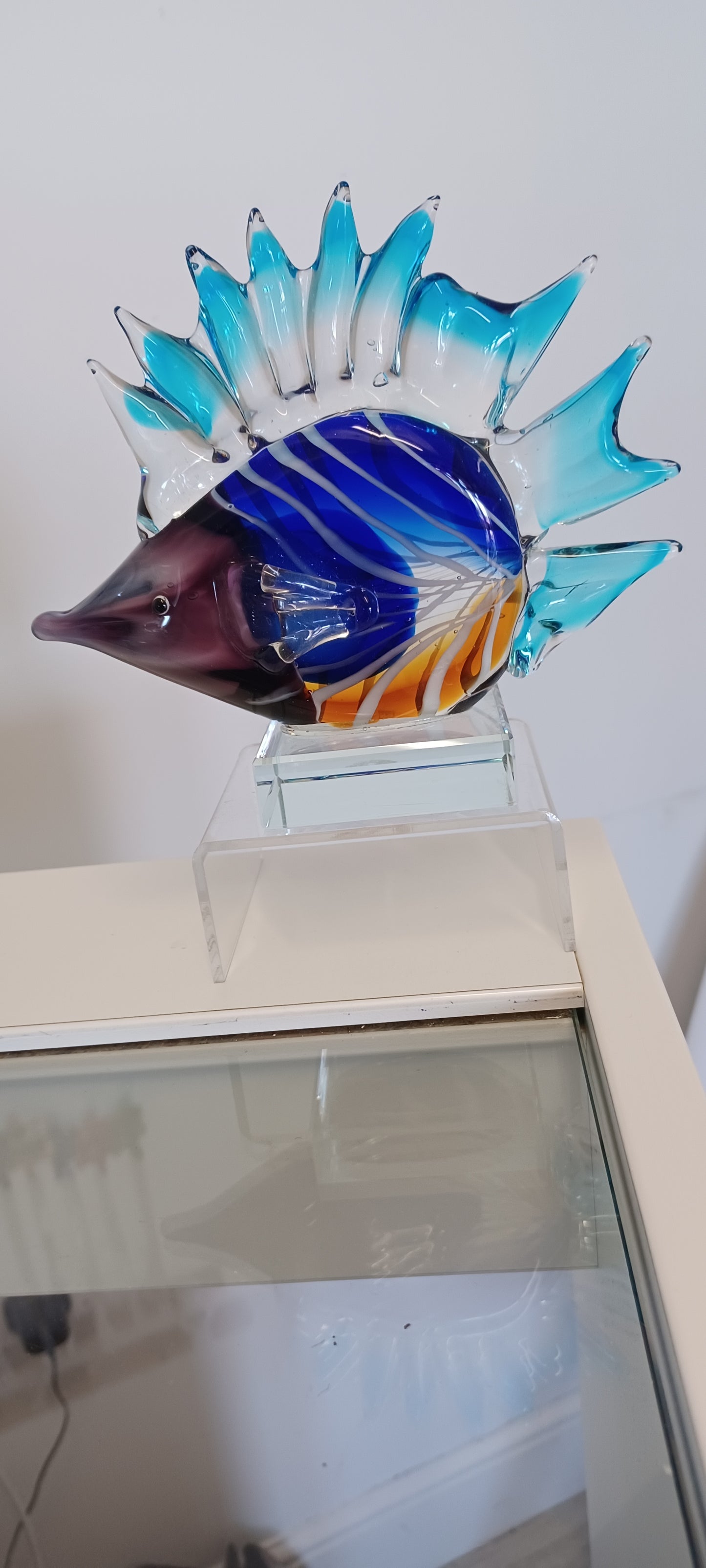 Glass Fish