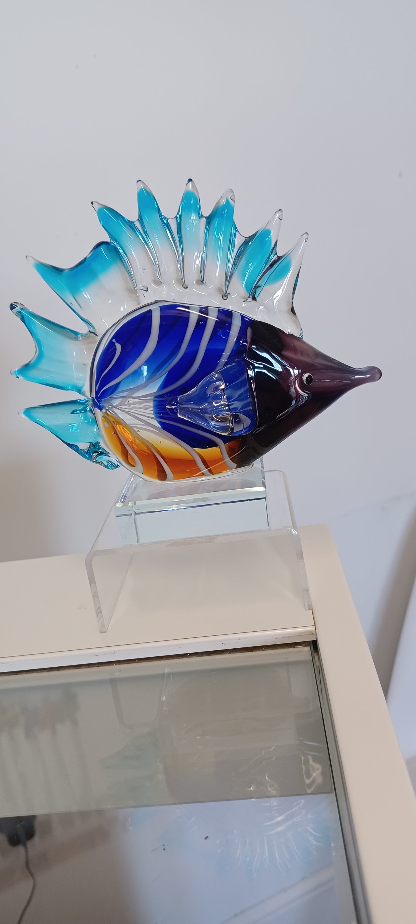 Glass Fish