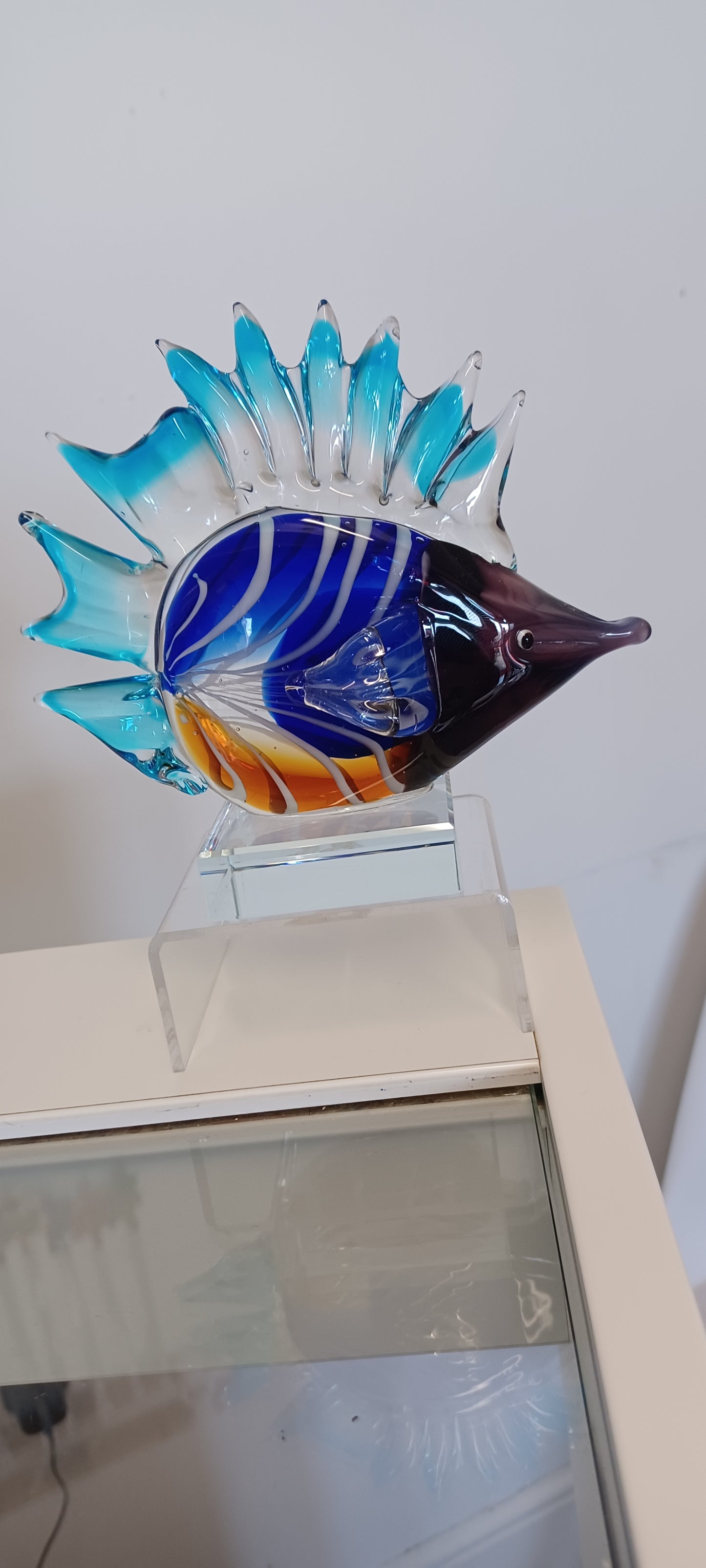 Glass Fish