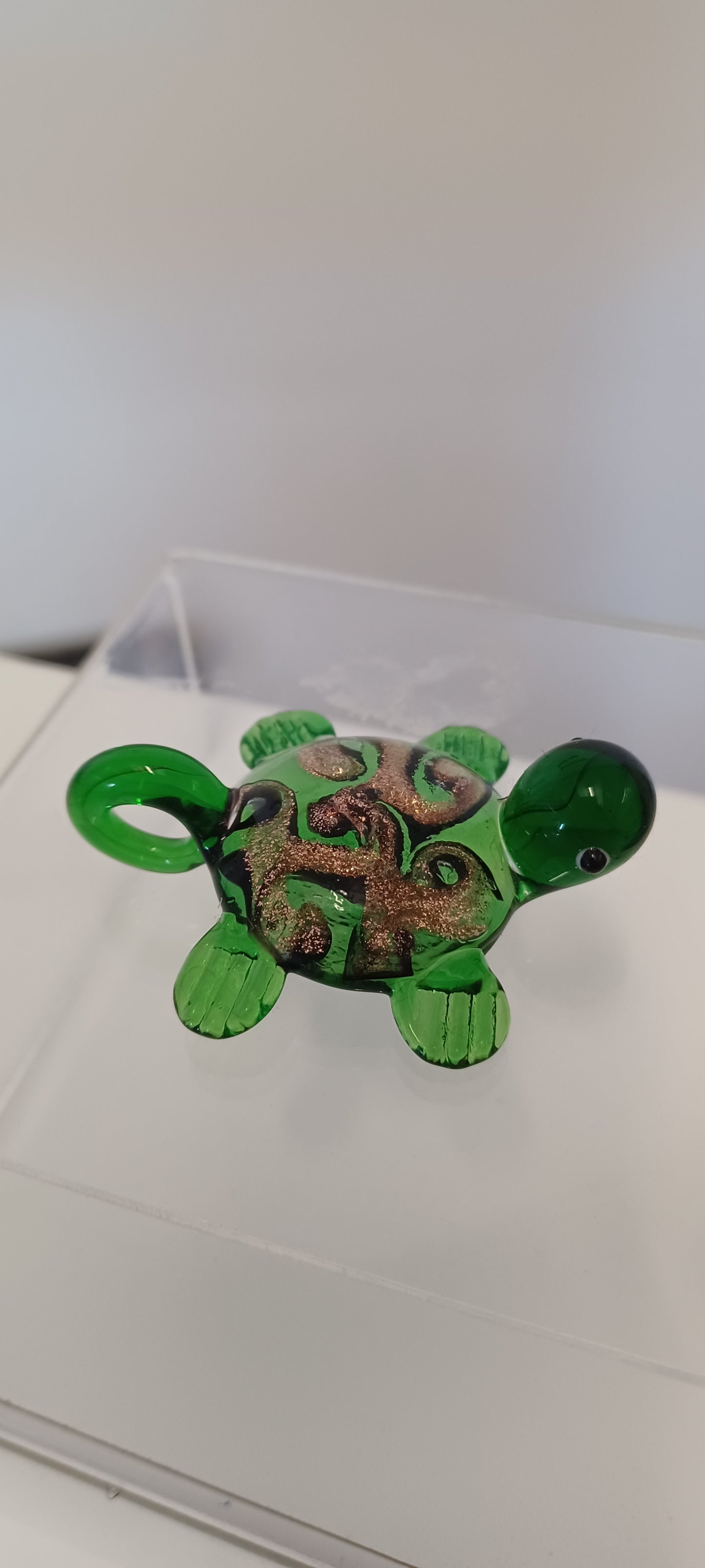 Glass Turtle