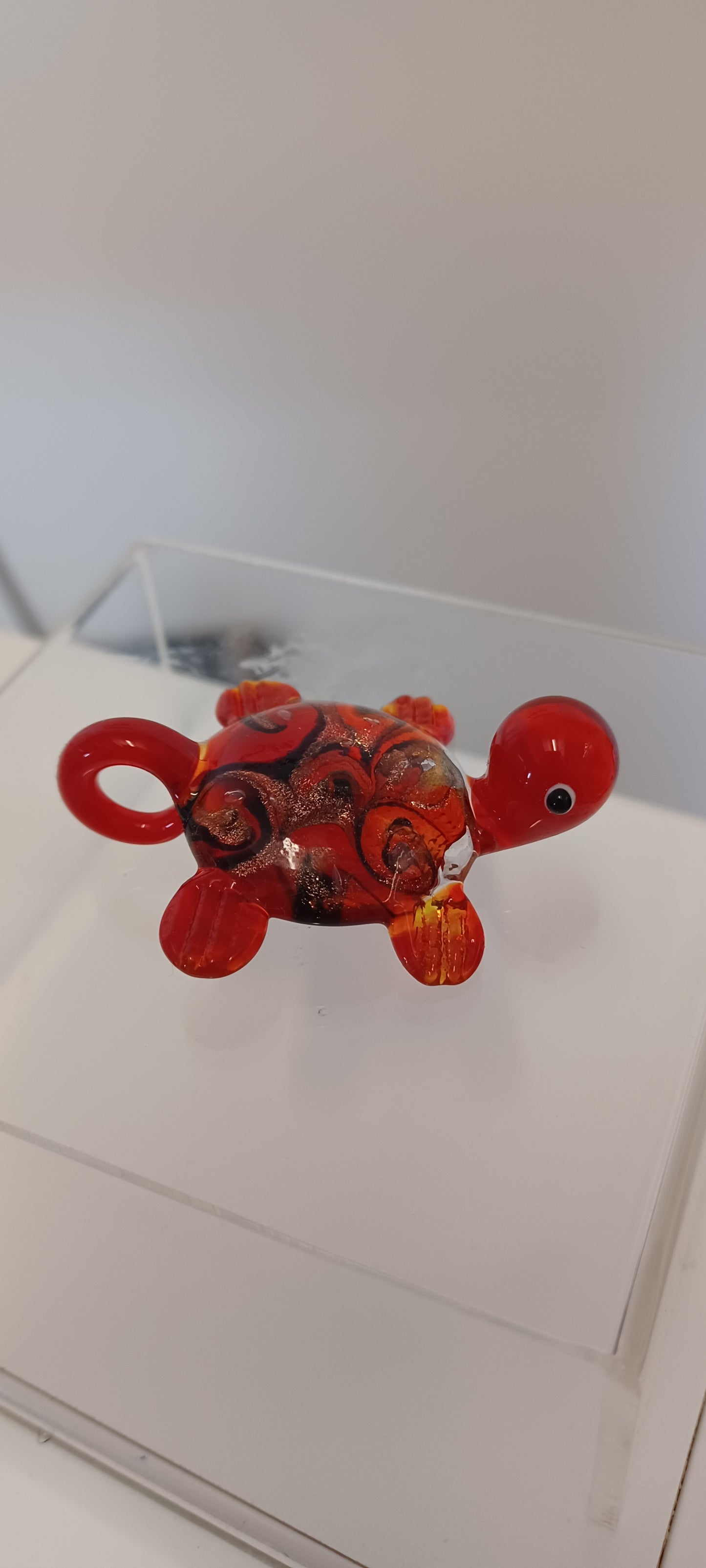 Glass Turtle