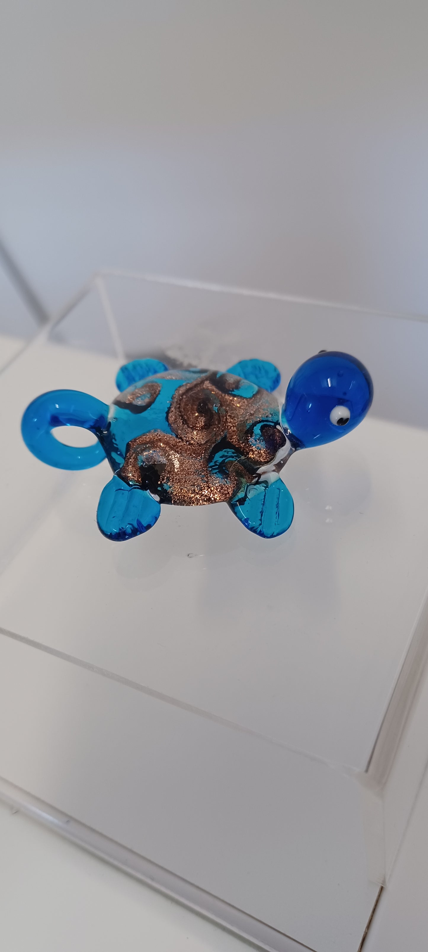 Glass Turtle