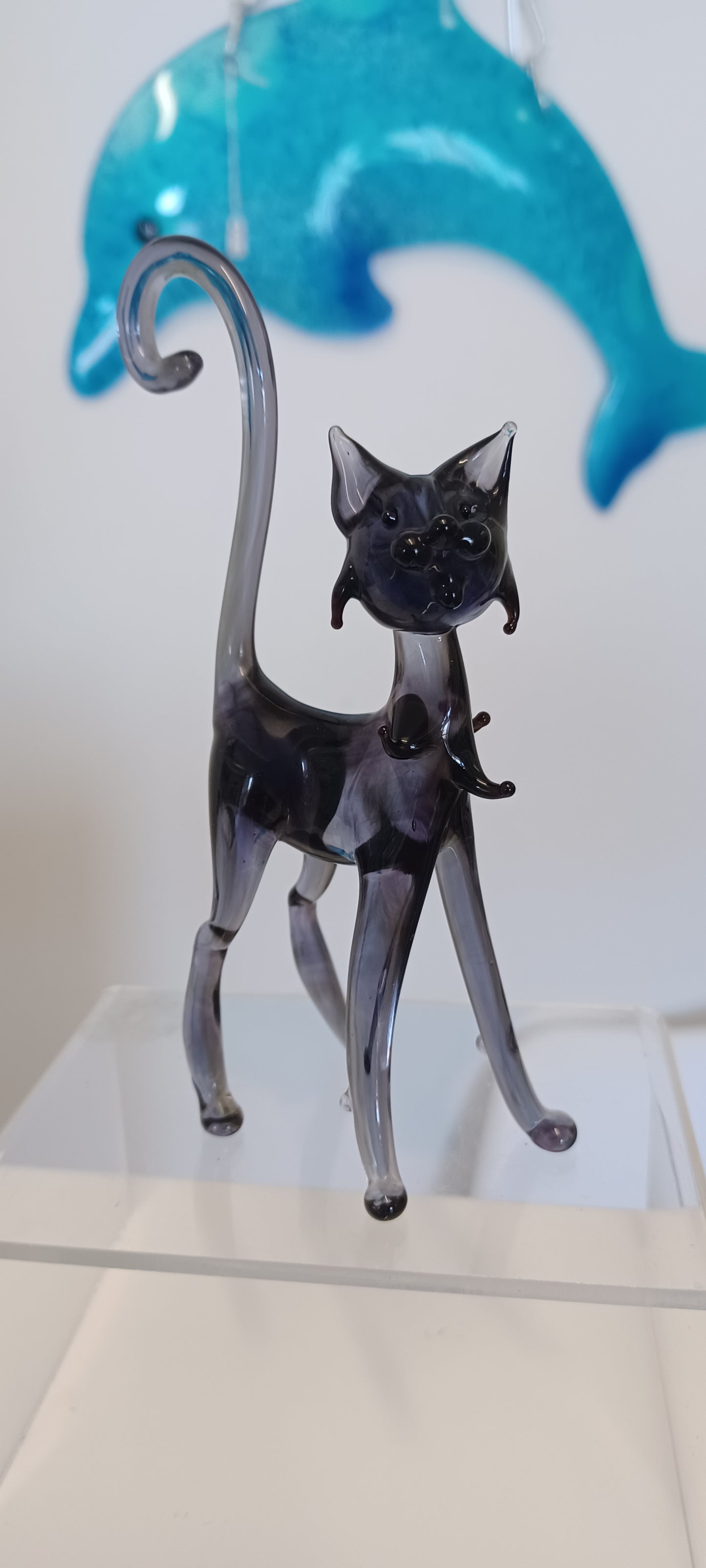 Glass Cat