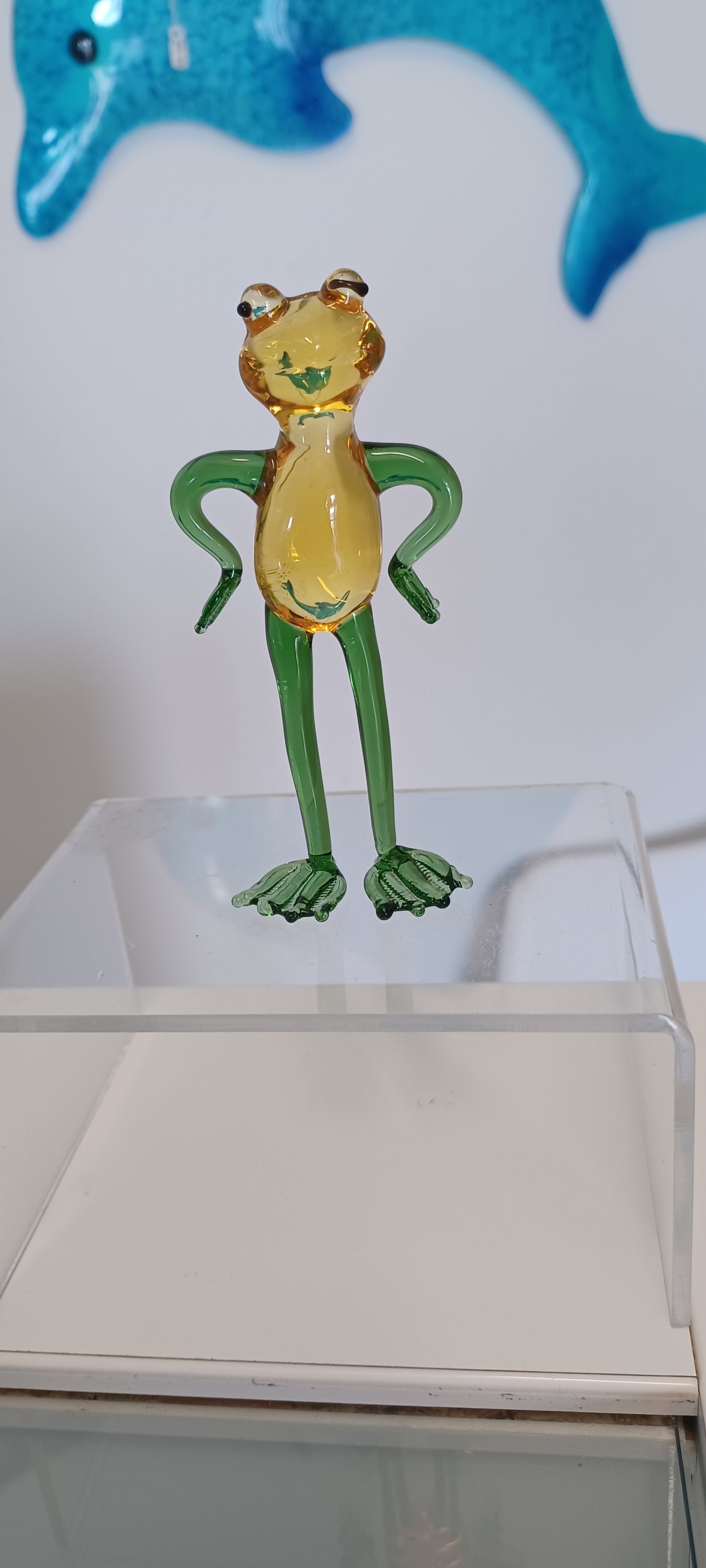 Glass Frog