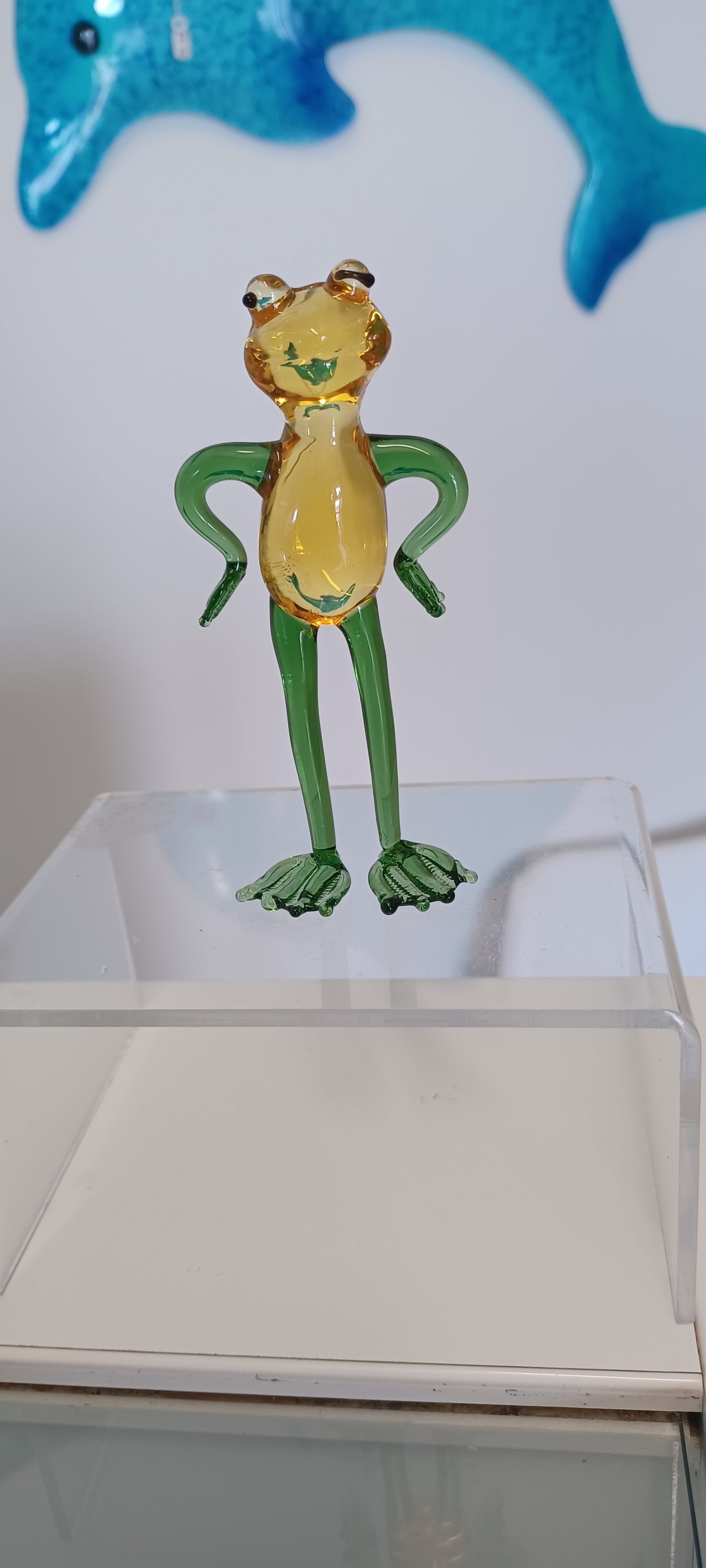 Glass Frog