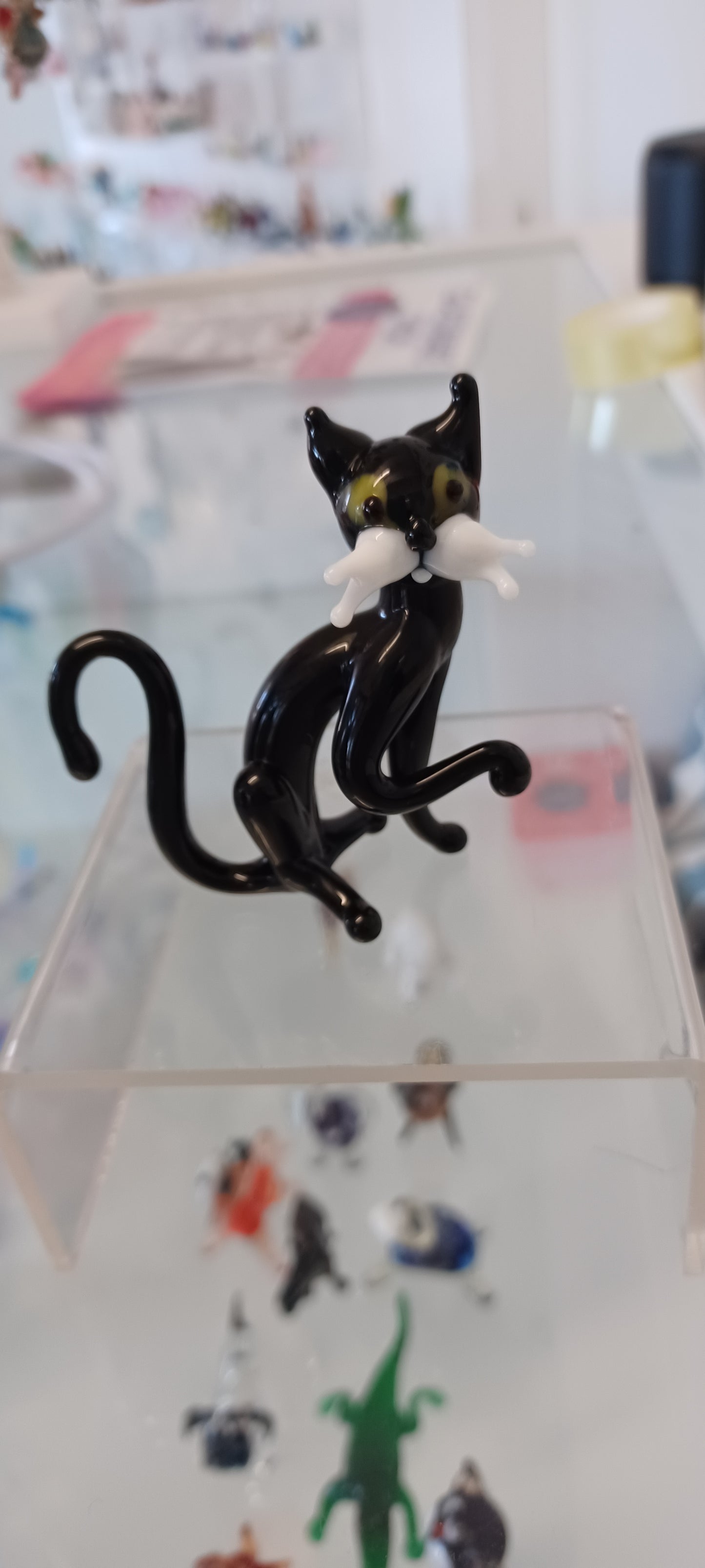 Glass Cat