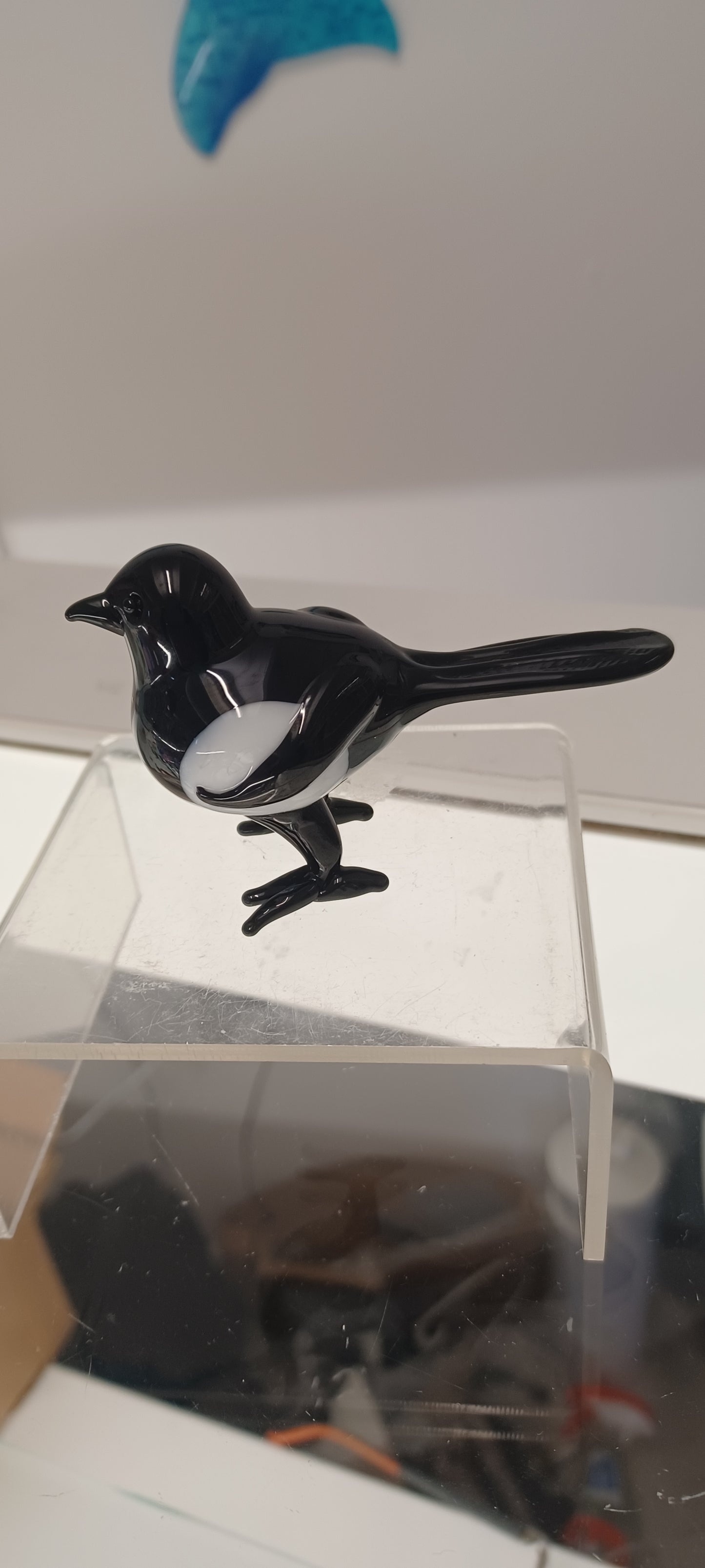 Glass Magpie