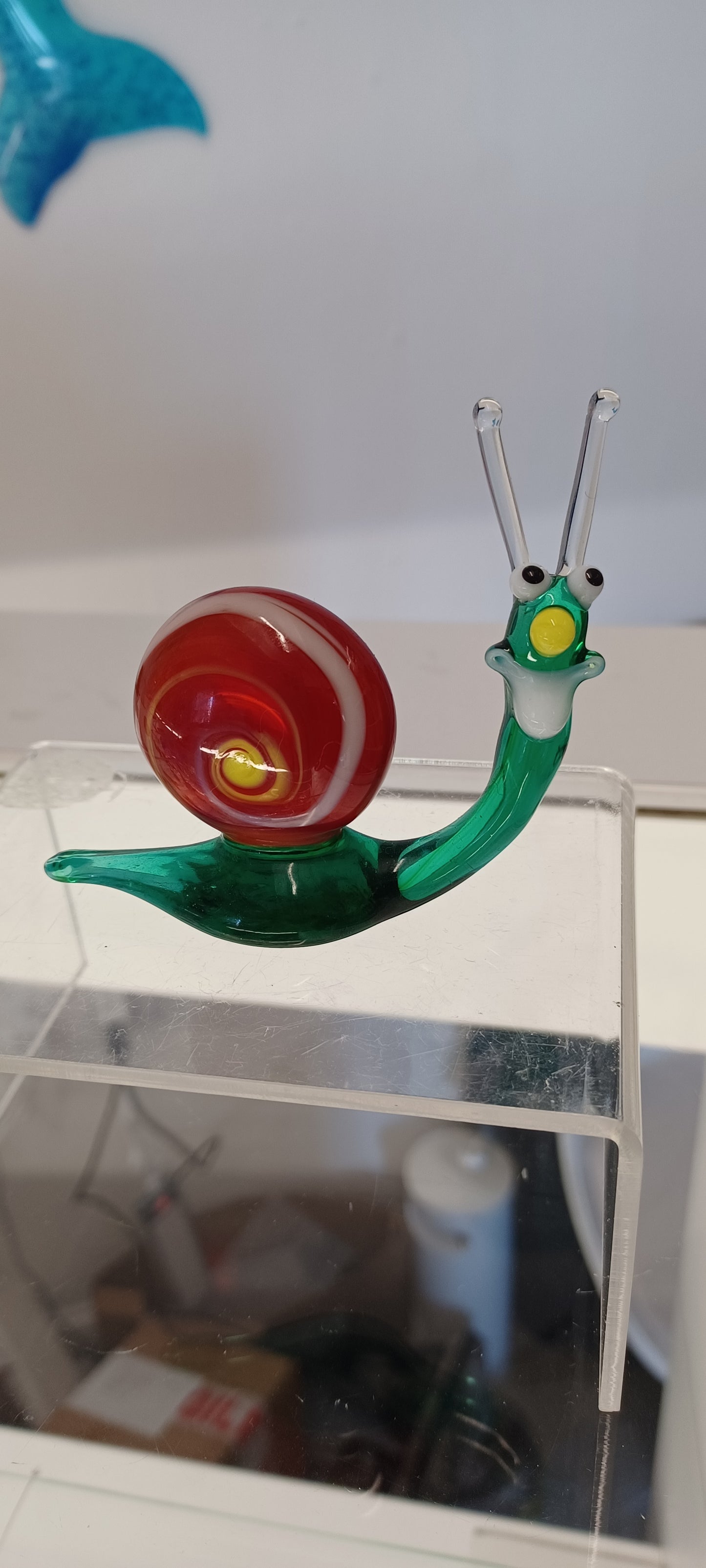 Glass Snail