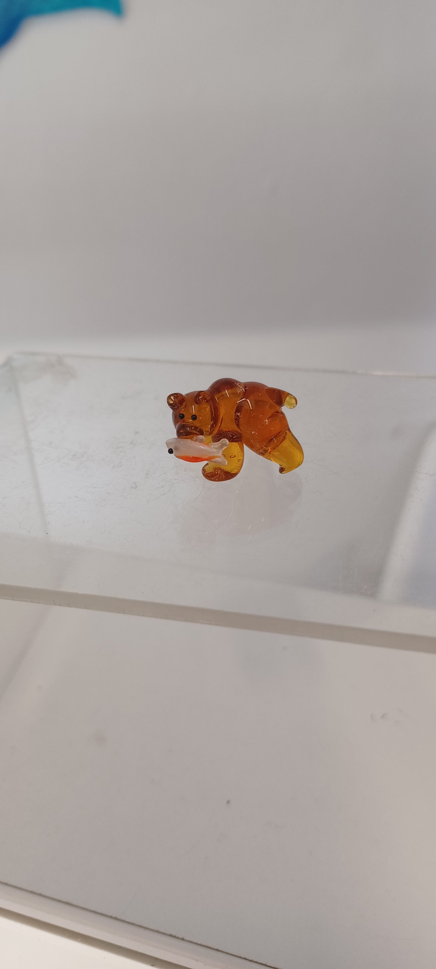 Glass Bear