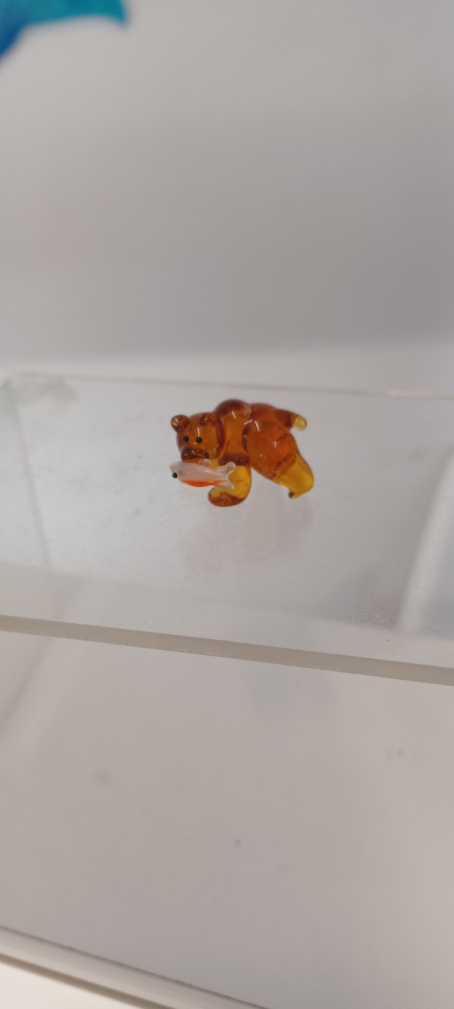 Glass Bear