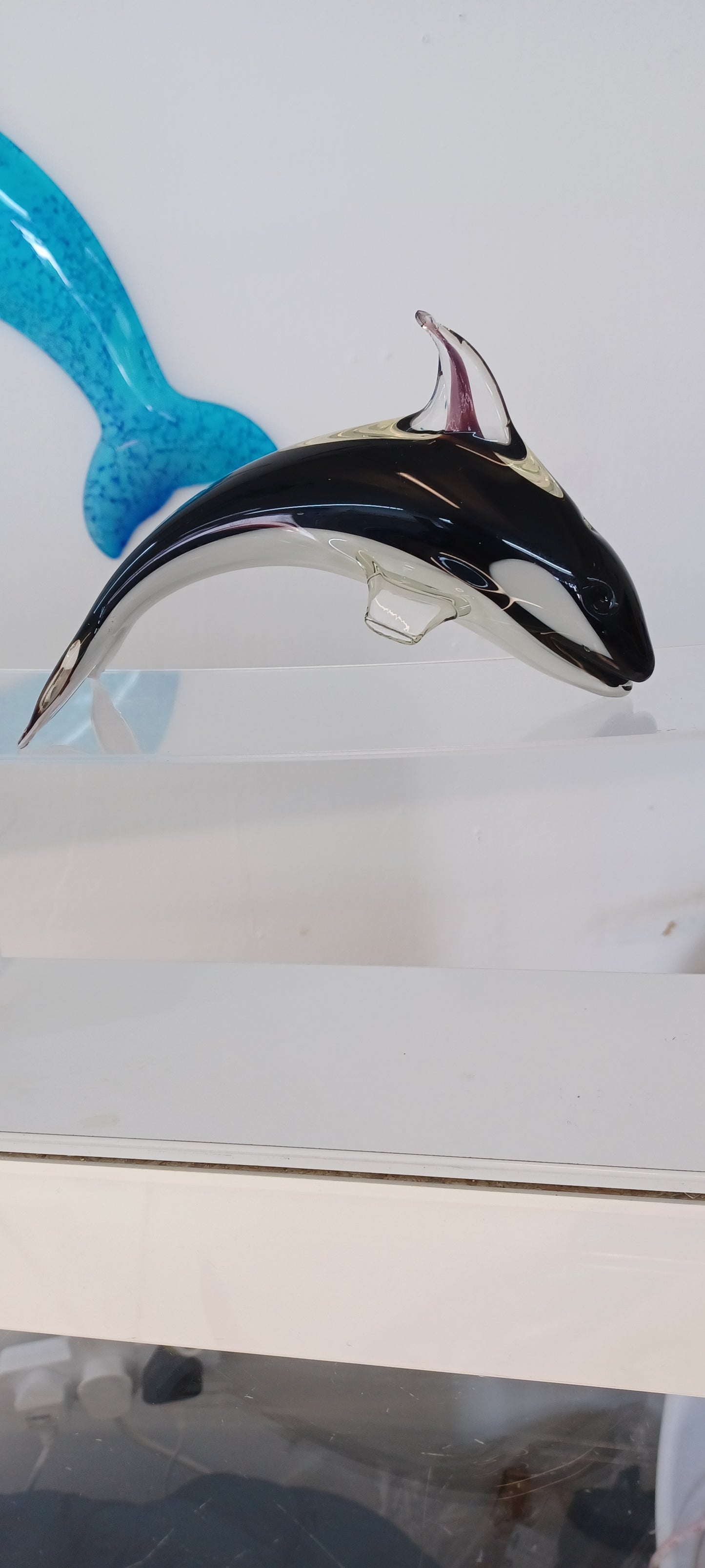 Glass killer Whale