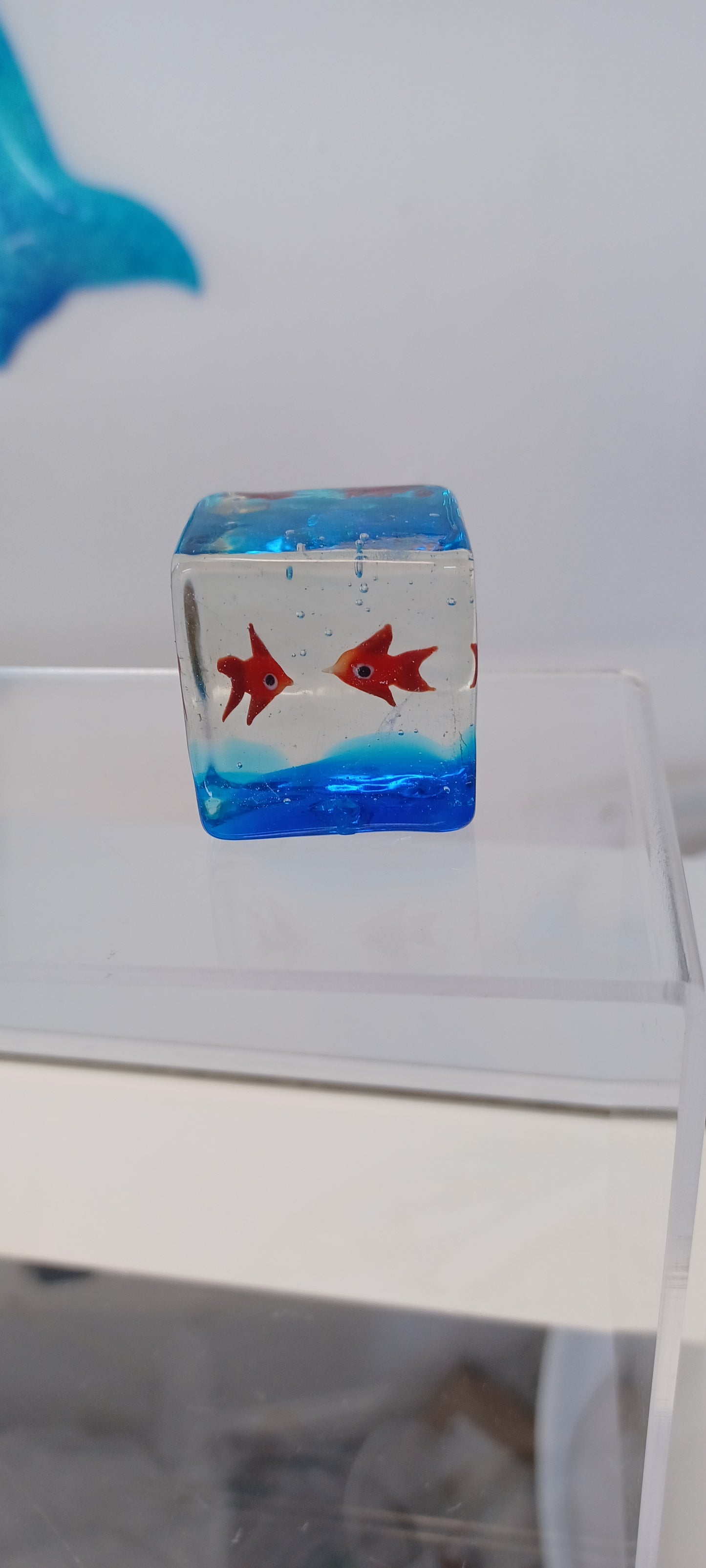 Glass Fish