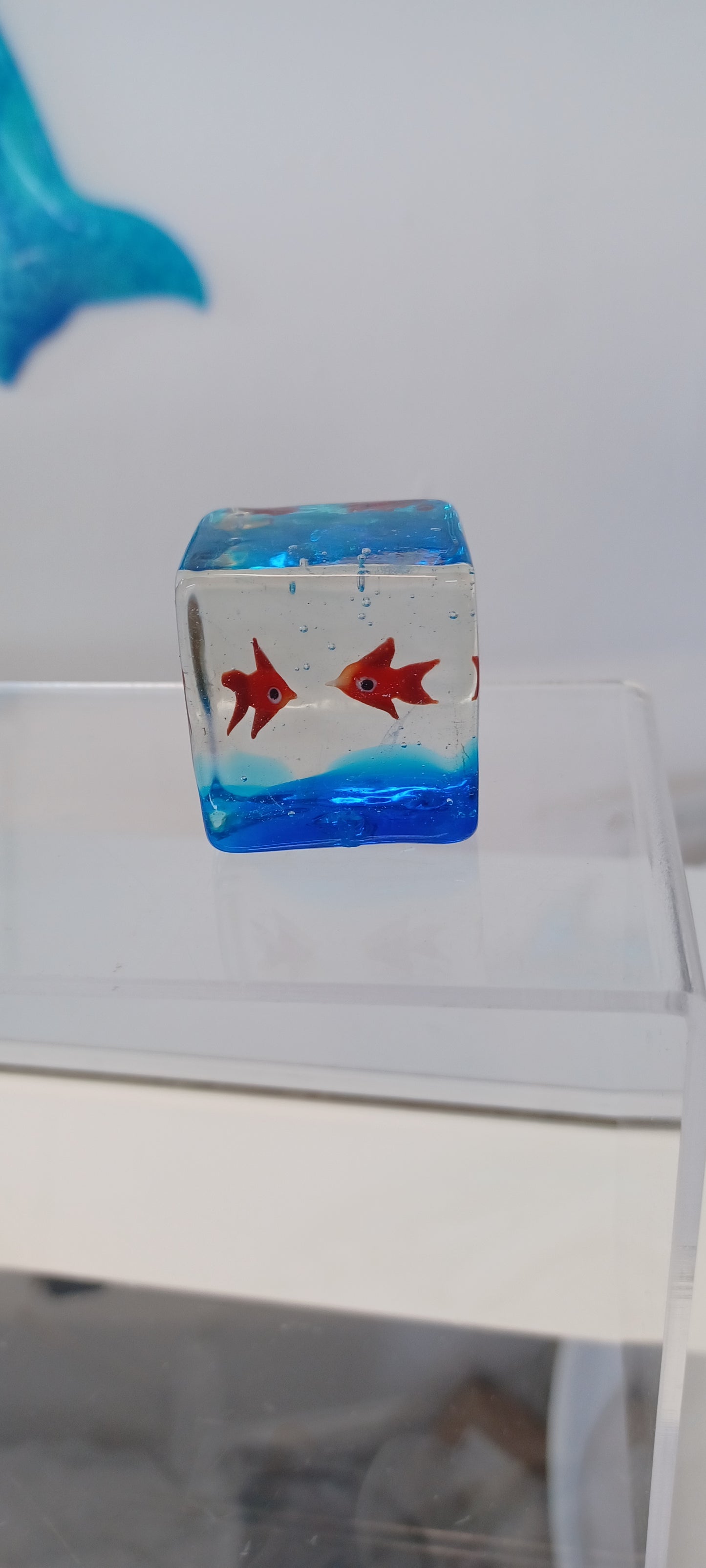 Glass Fish