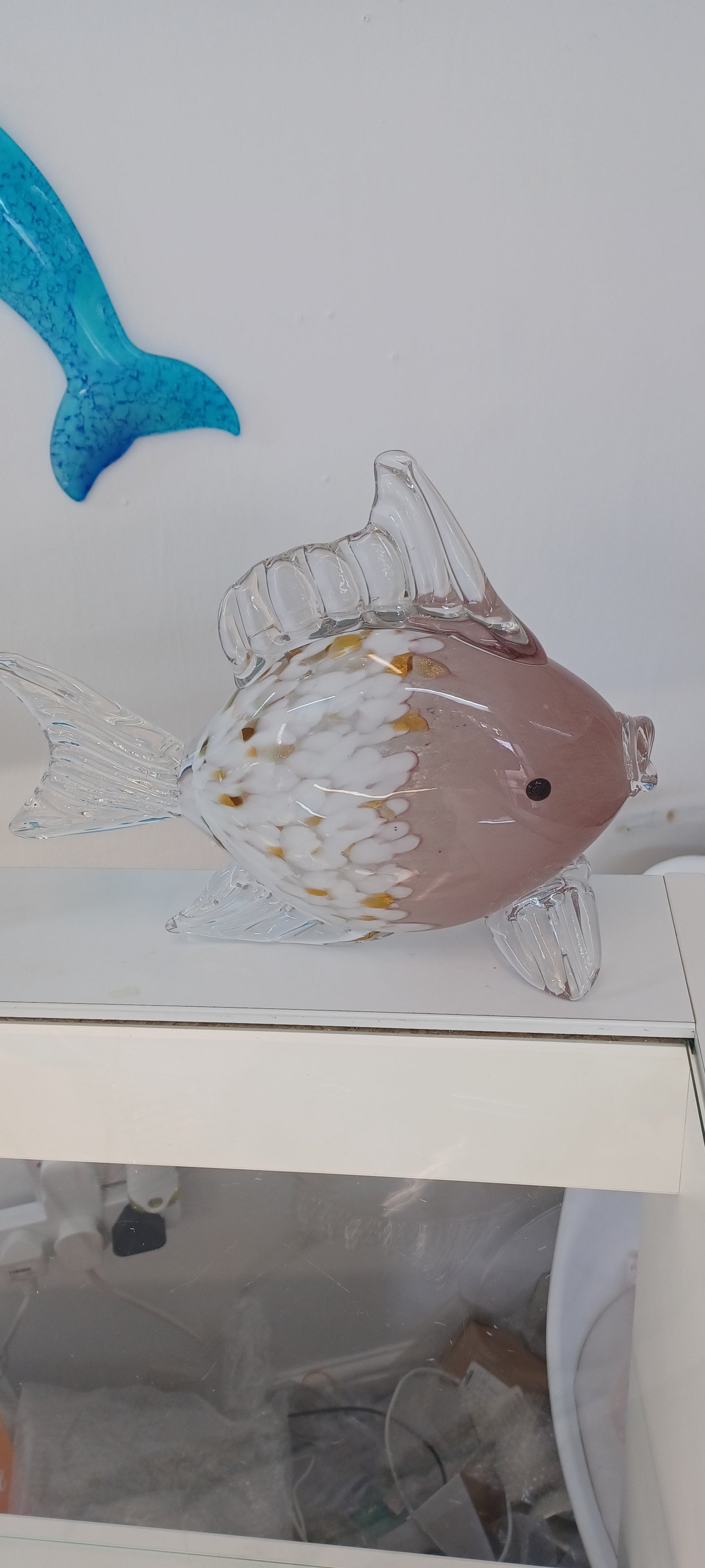 Glass Fish