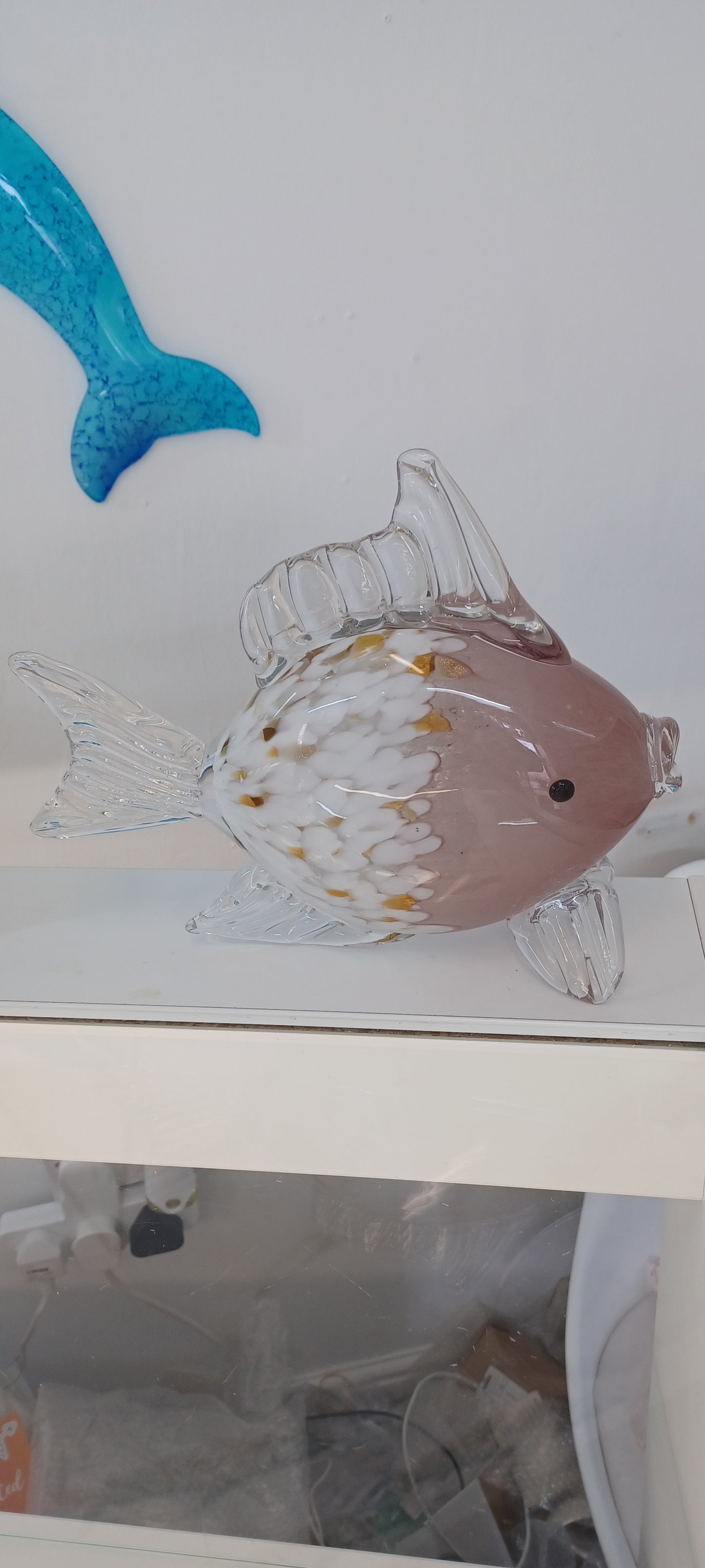 Glass Fish