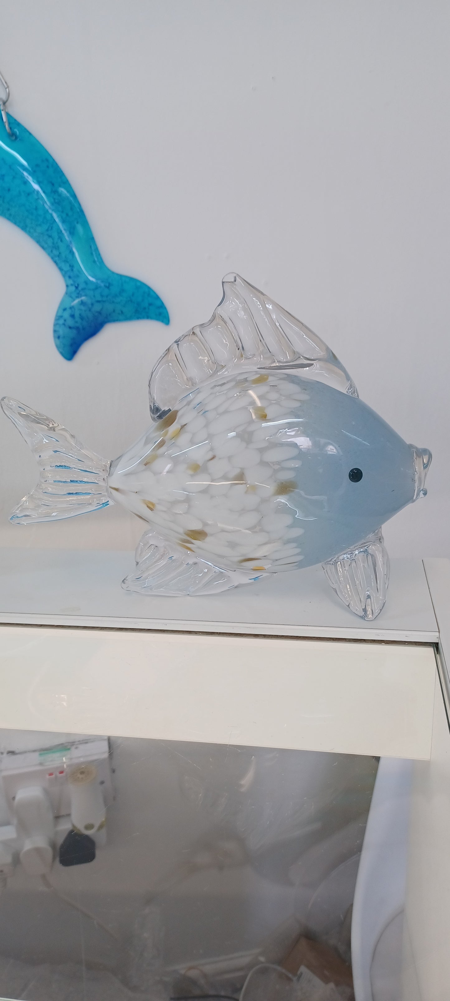 Glass Fish