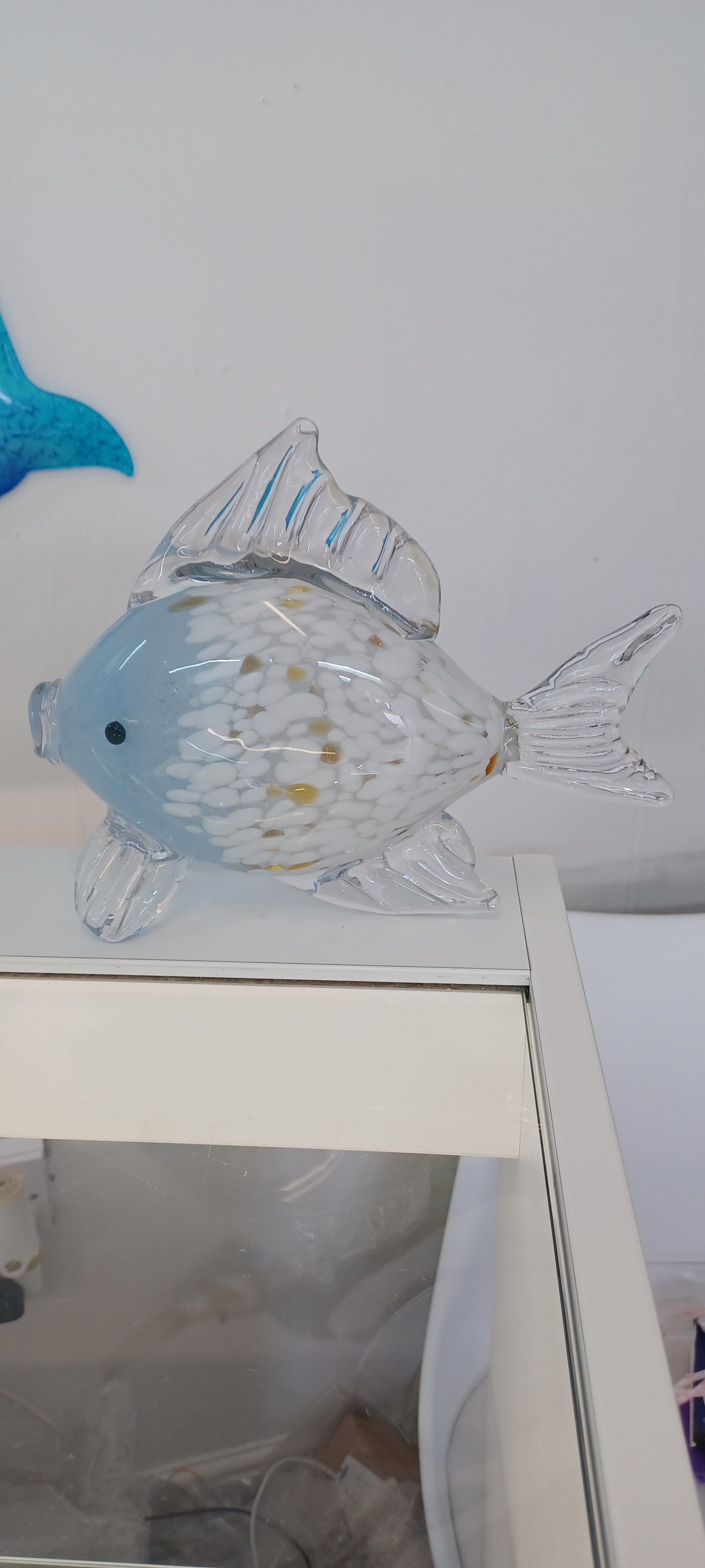 Glass Fish