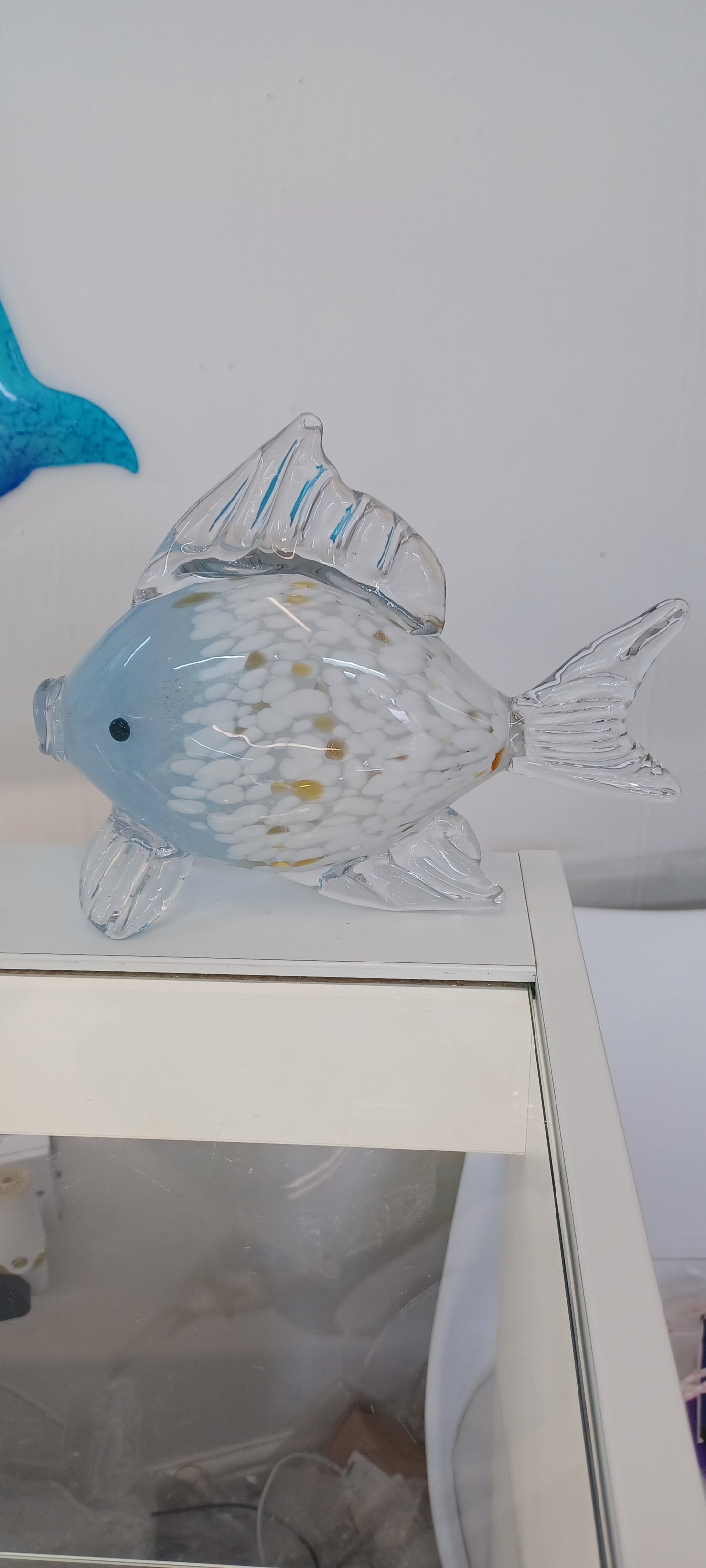 Glass Fish