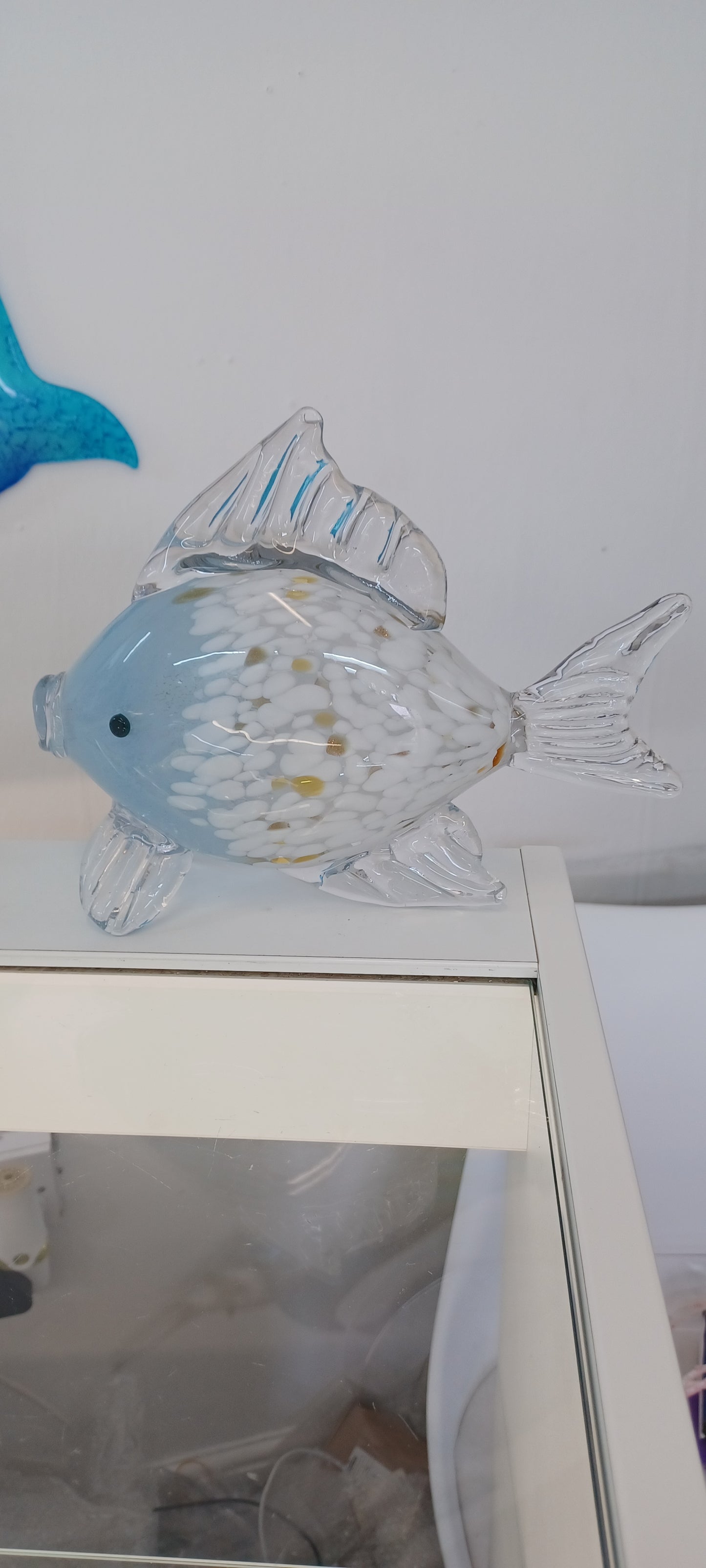 Glass Fish