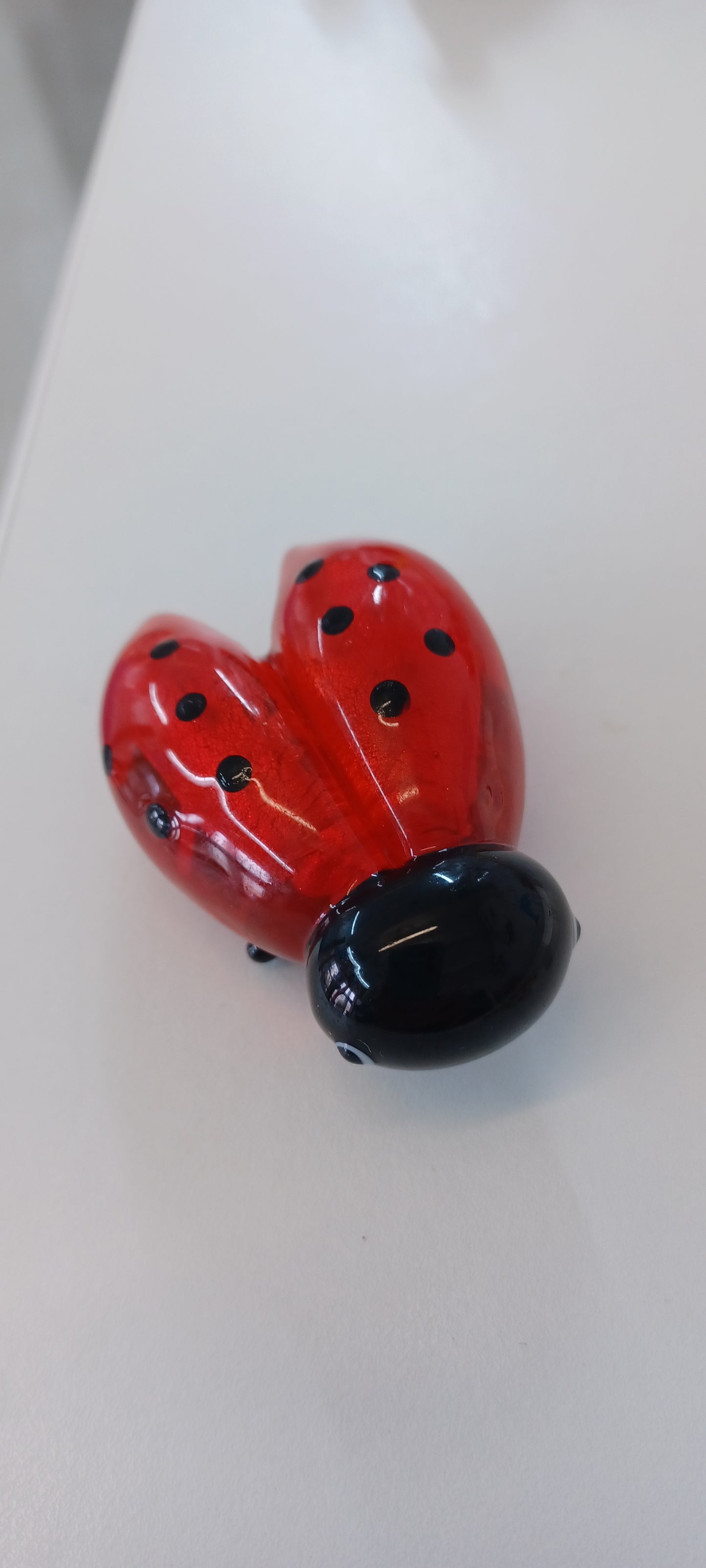 Glass Ladybird