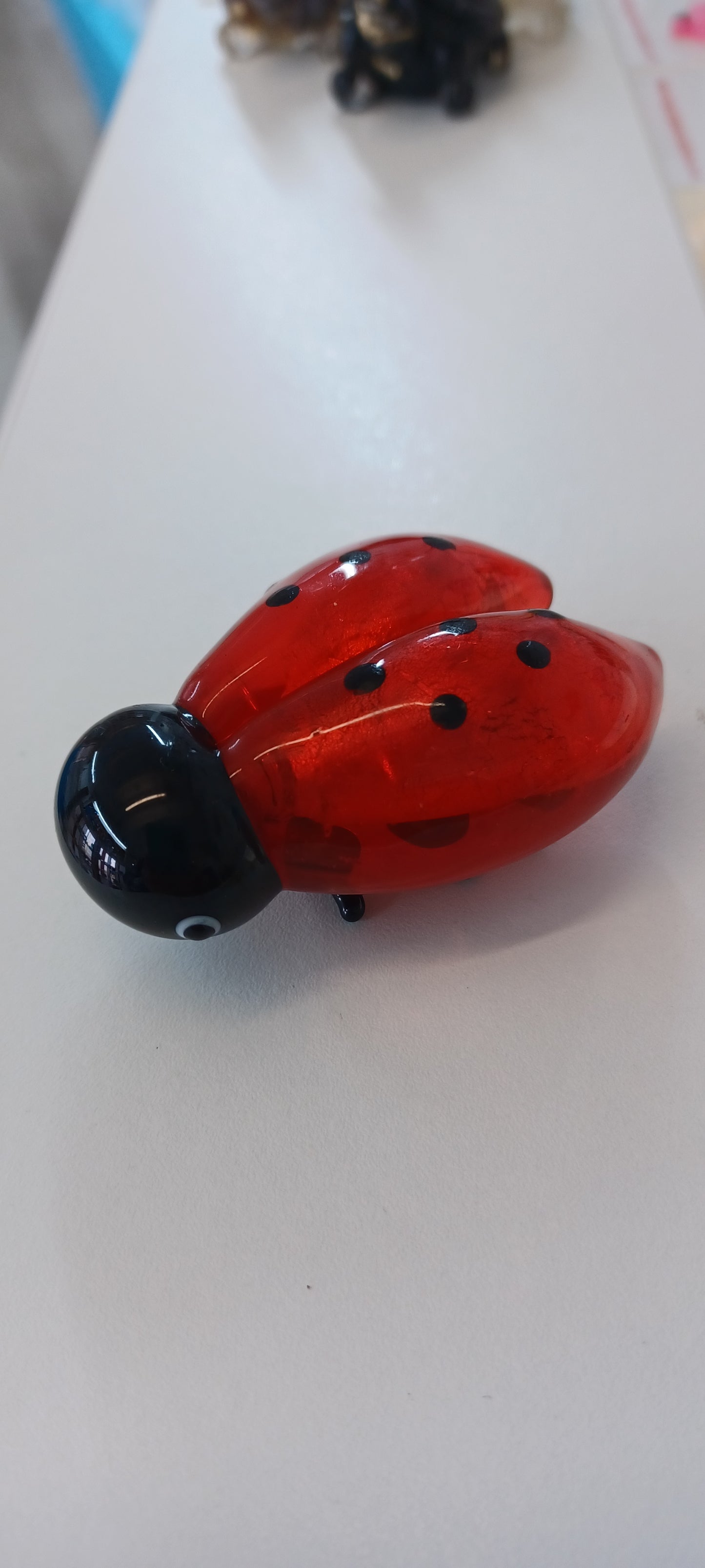 Glass Ladybird