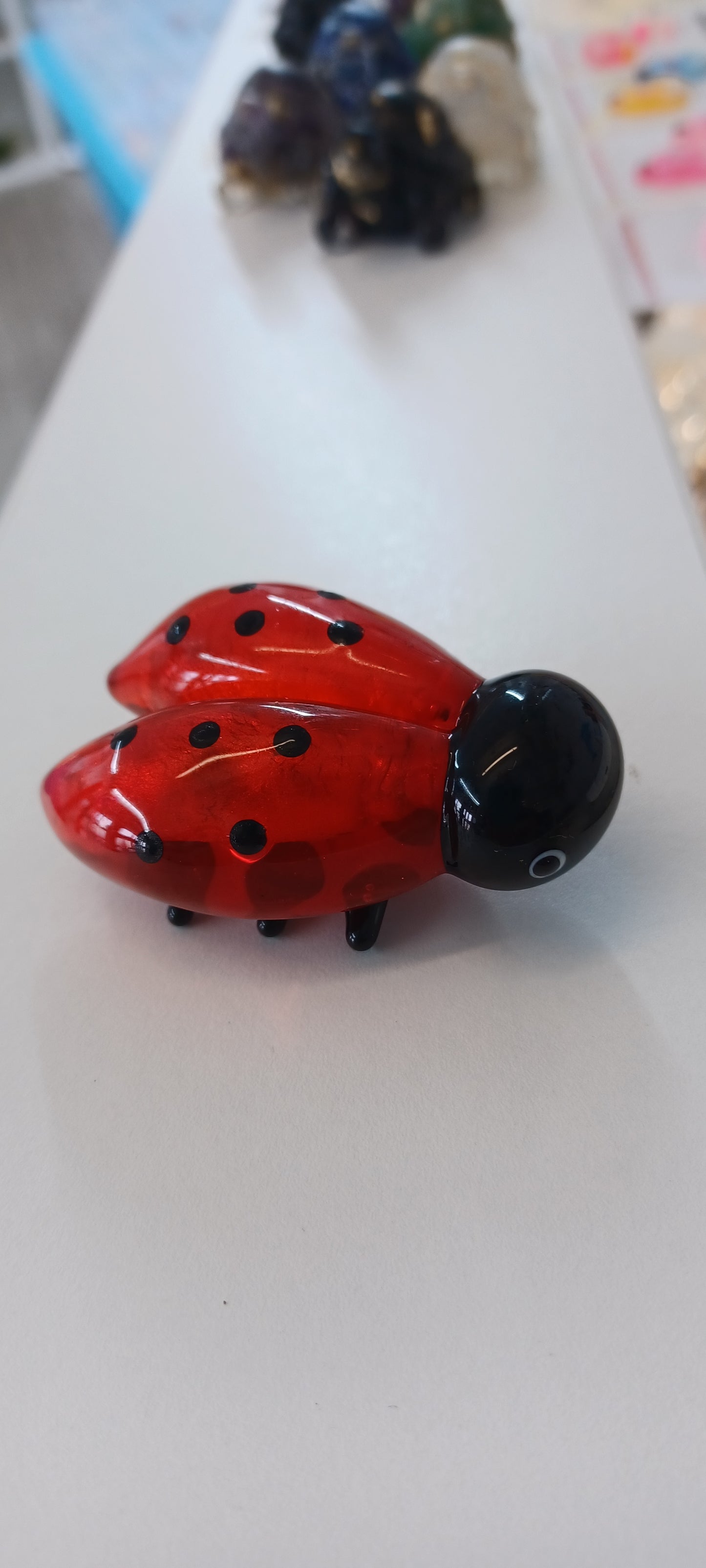 Glass Ladybird