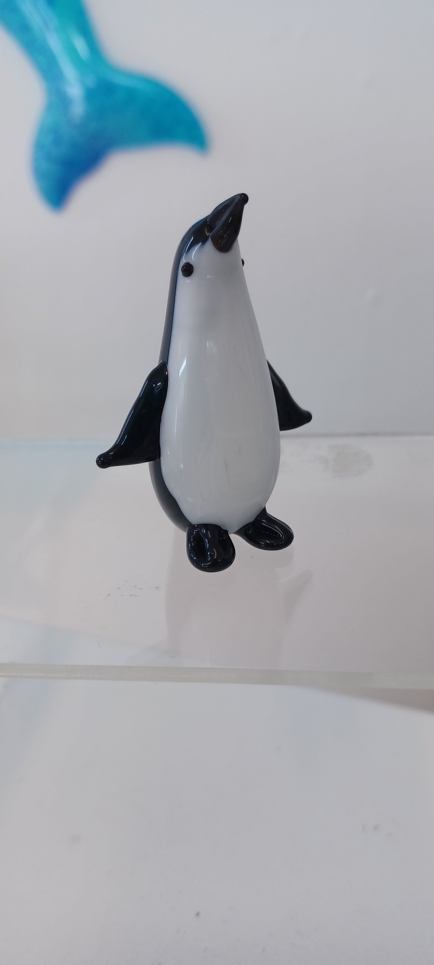 Glass Penguin