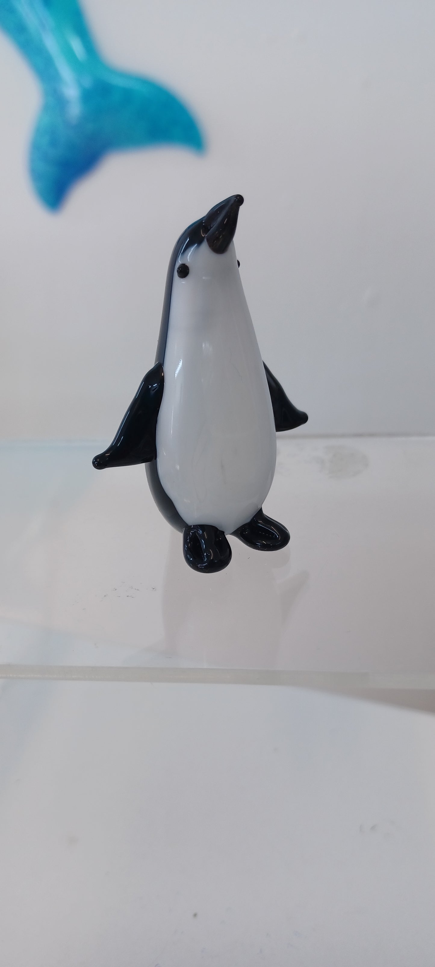 Glass Penguin