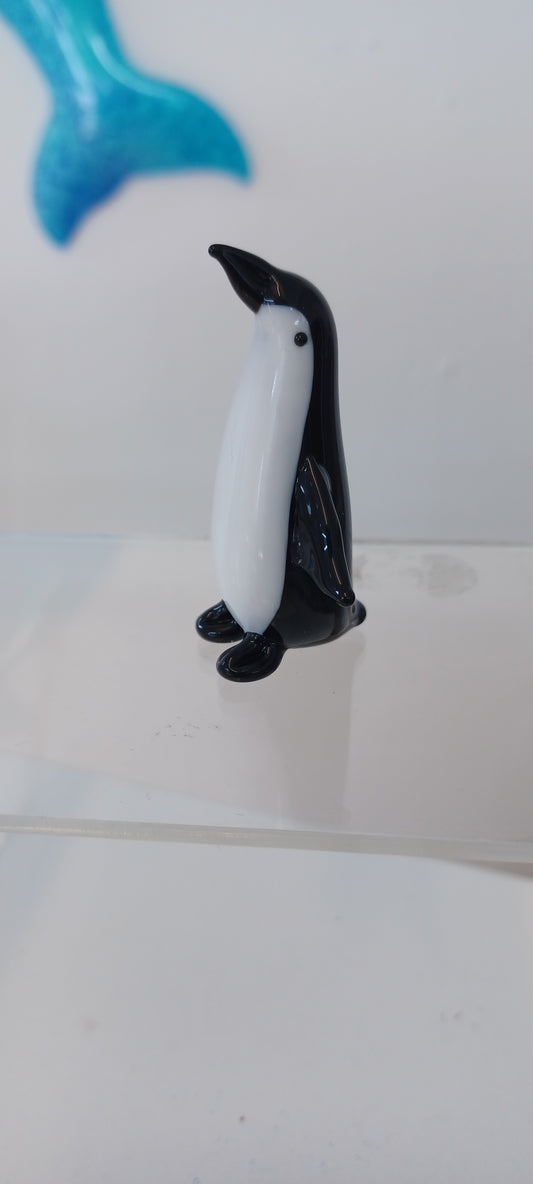 Glass Penguin