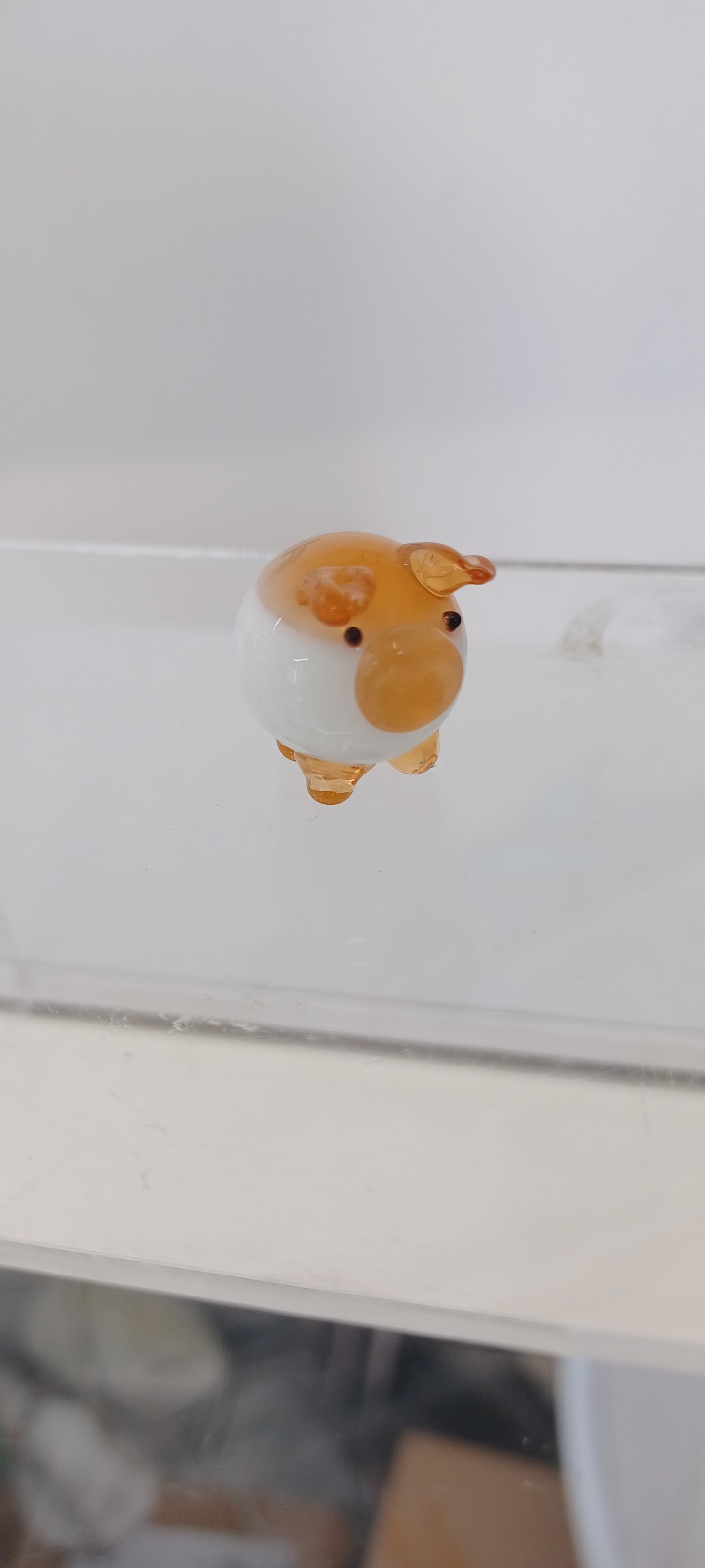 Glass Pig