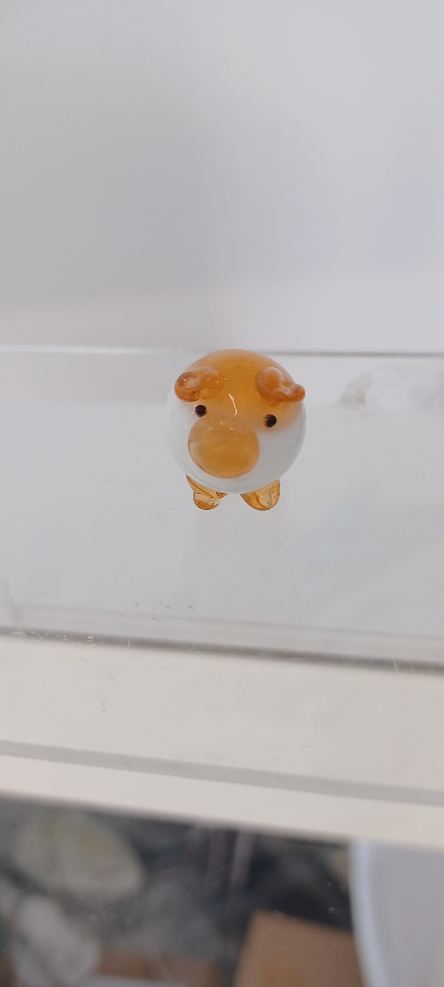 Glass Pig